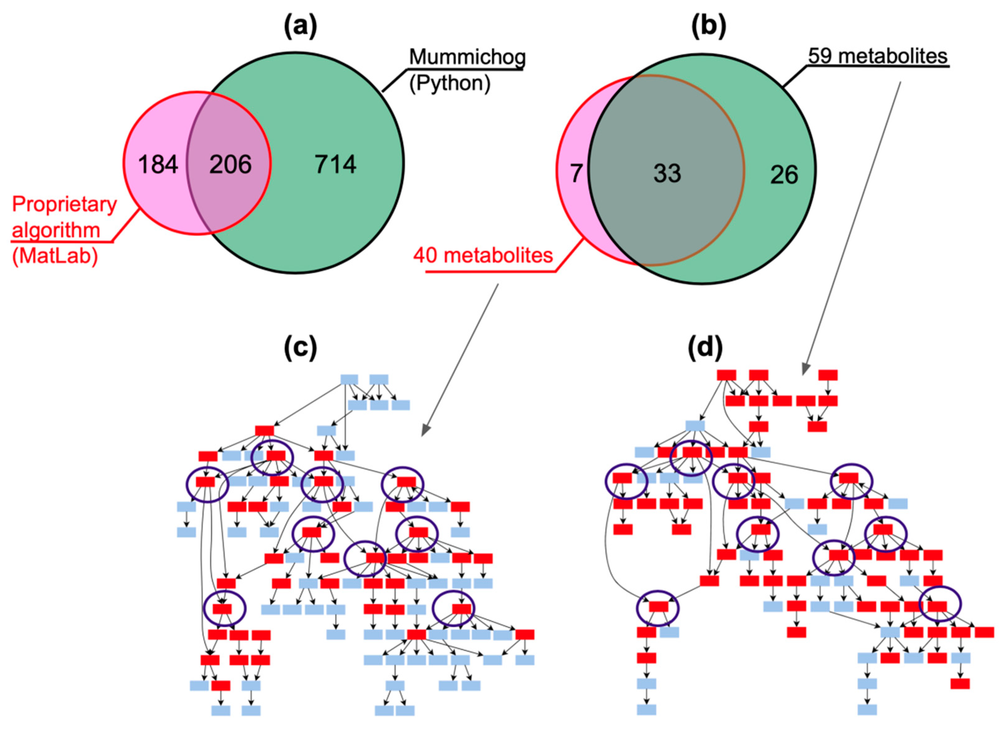 Metabolites 12 00768 g002 550