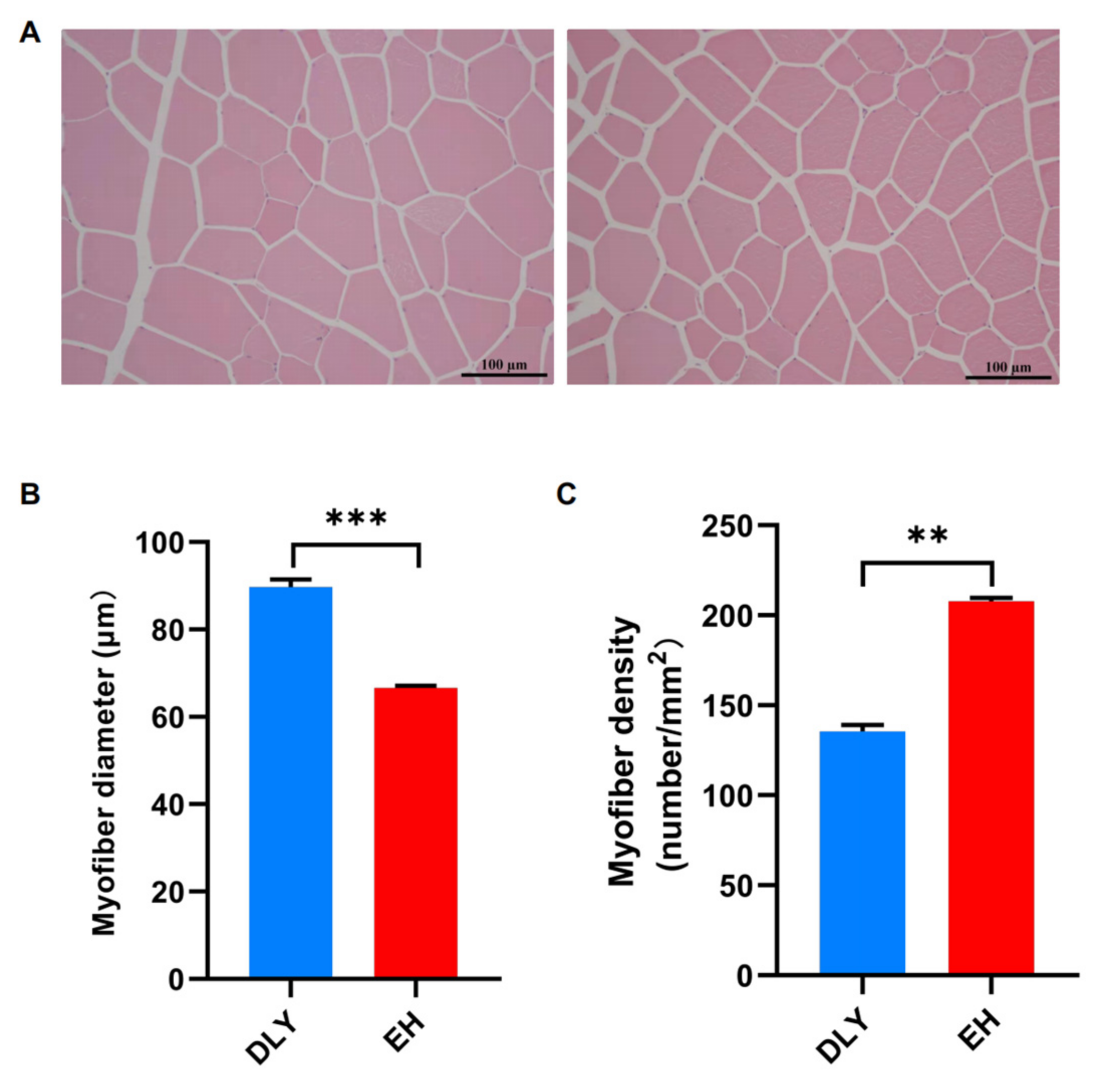 Metabolites 12 00769 g001 550