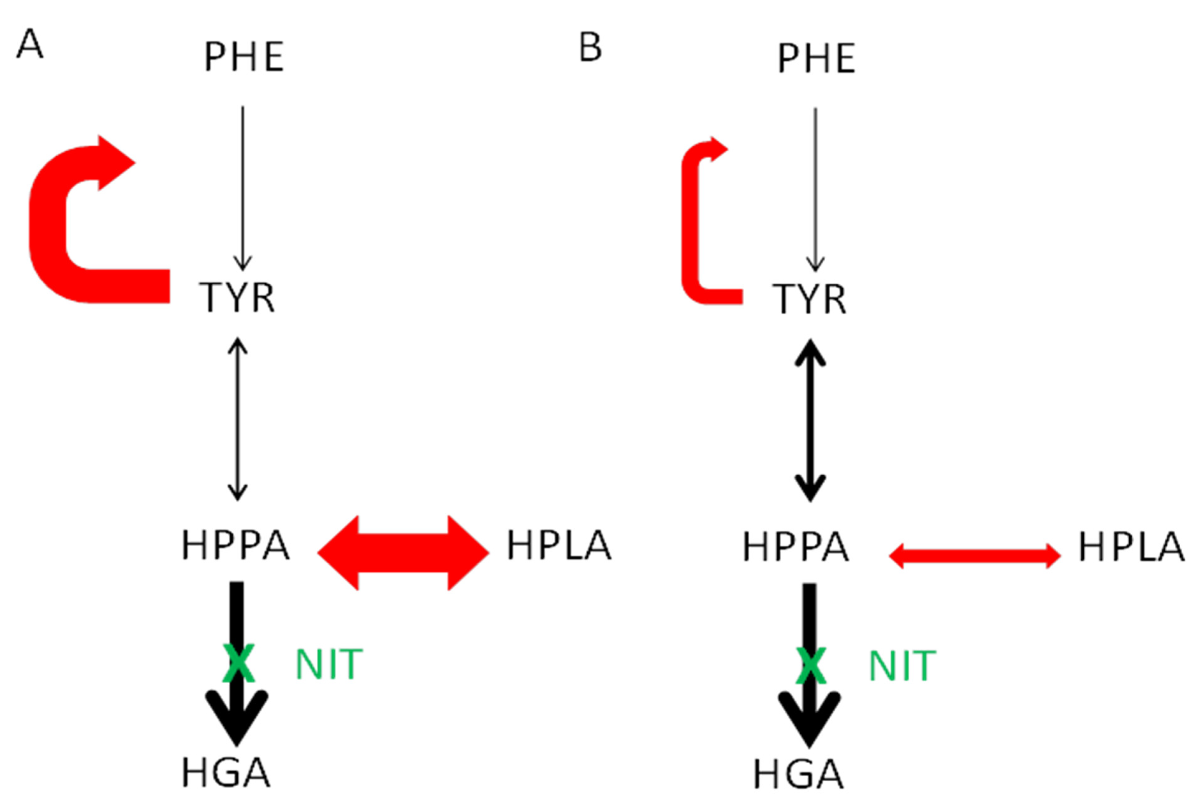 Metabolites 12 00772 g005