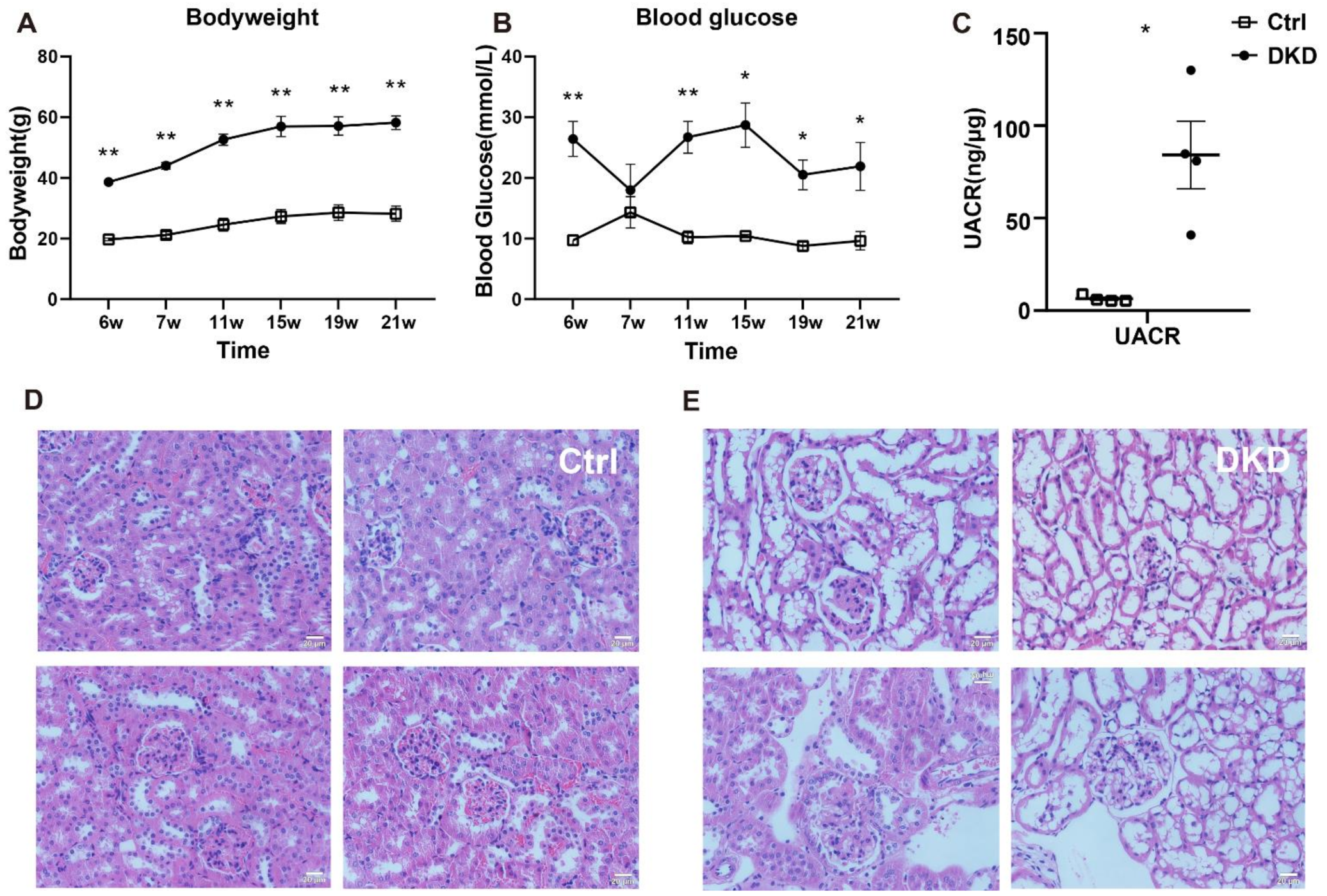 Metabolites 12 00775 g001 550