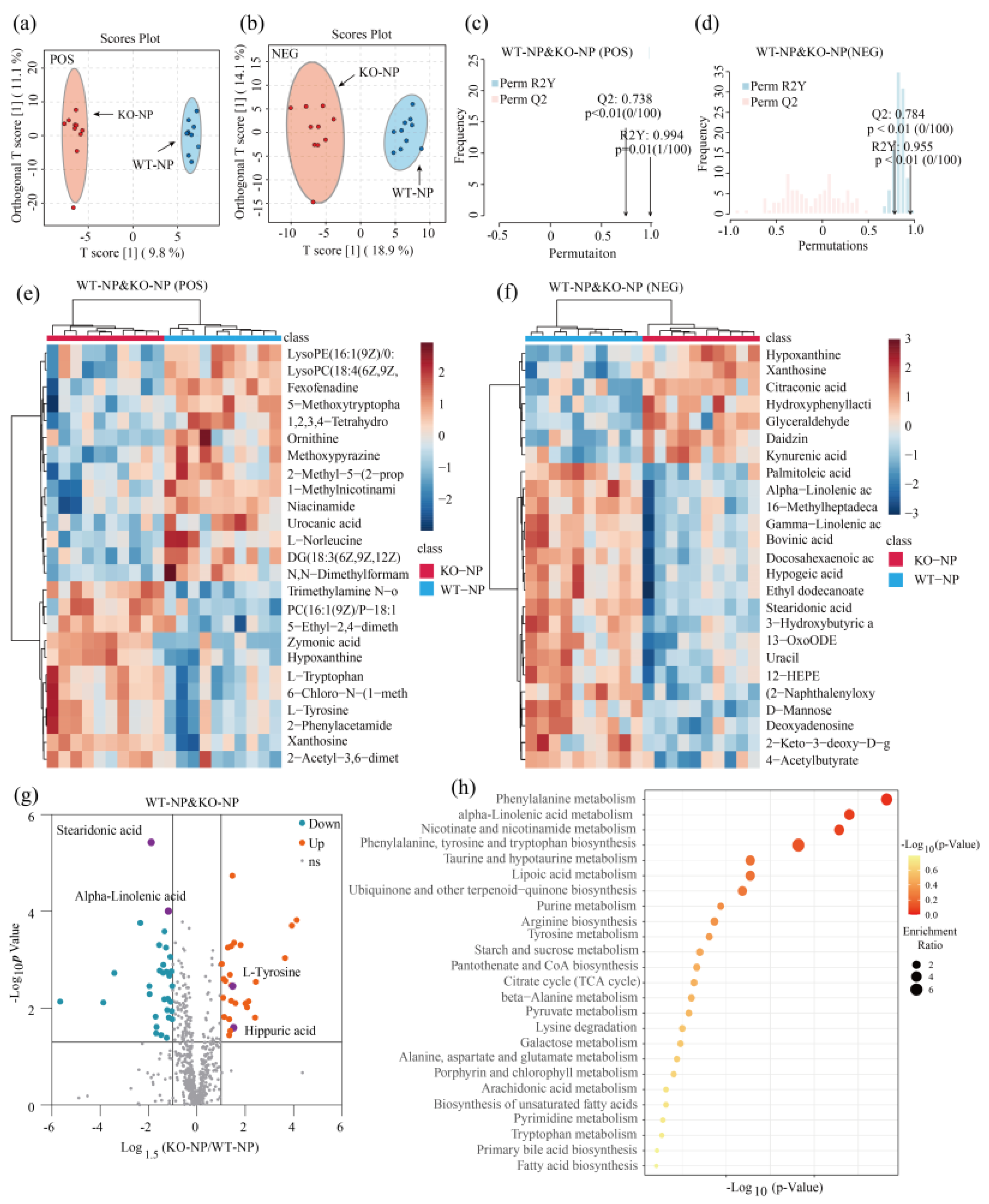 Metabolites 12 00776 g003
