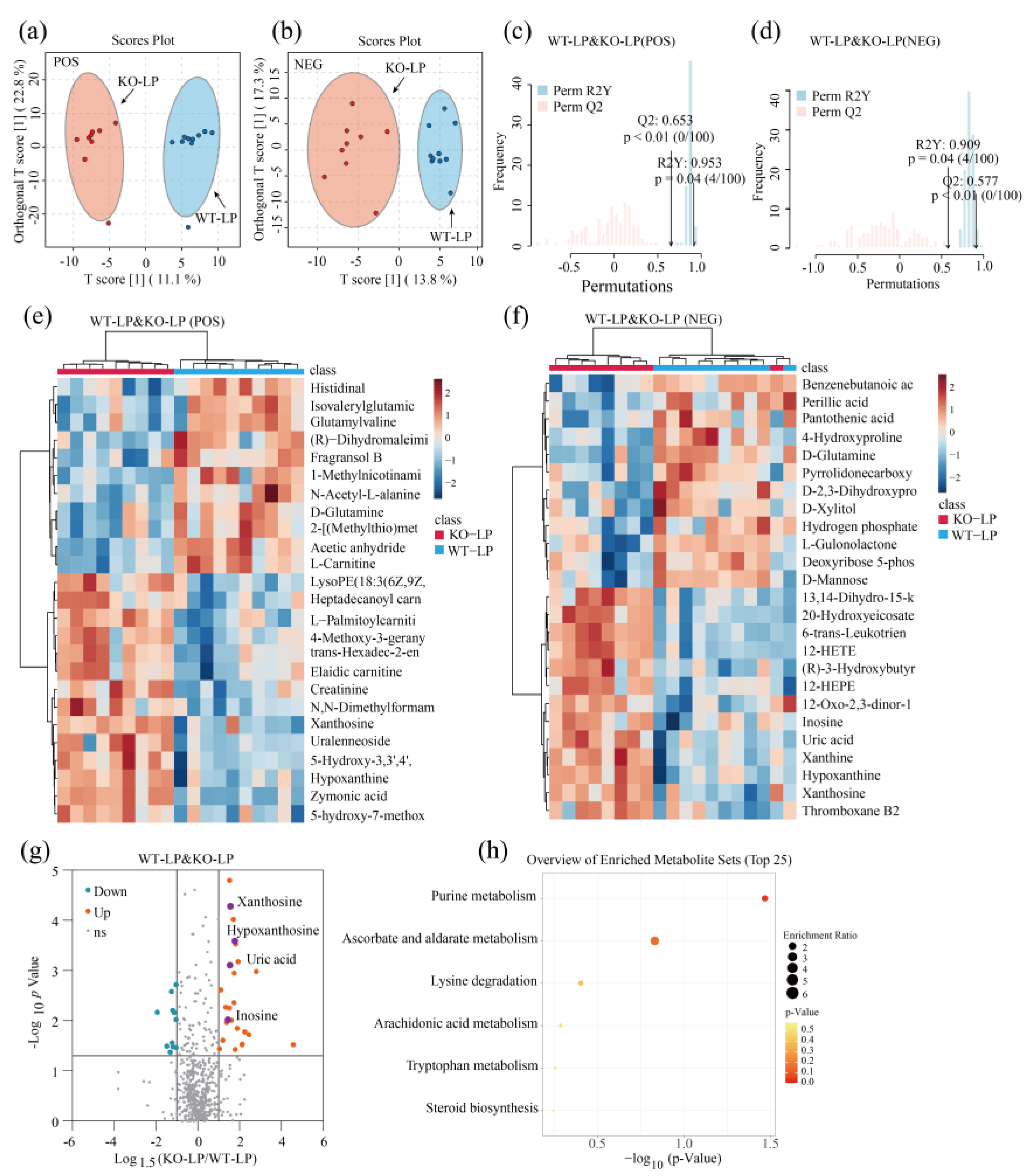 Metabolites 12 00776 g004