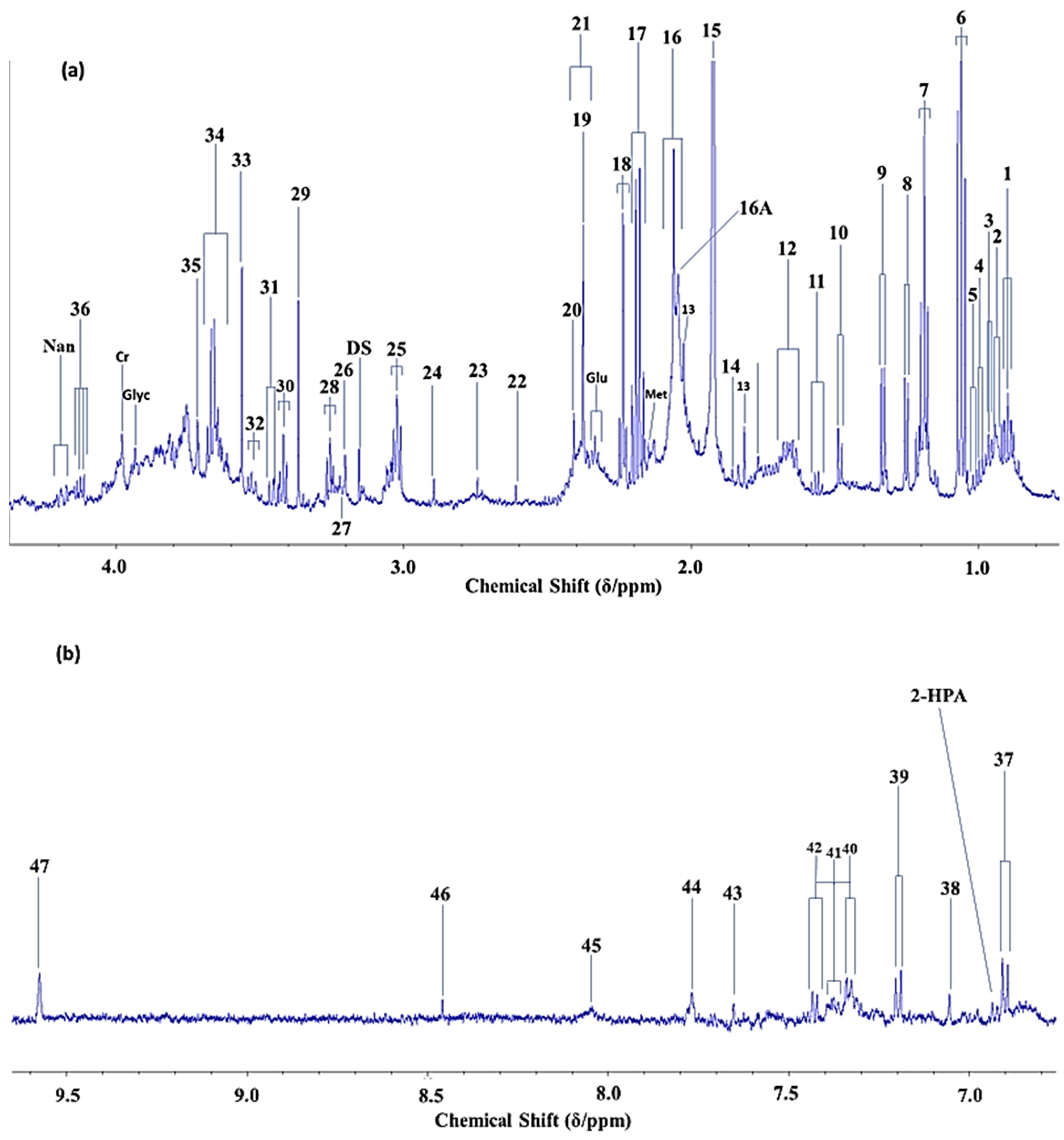 Metabolites 12 00778 g001a Metabolites 12 00778 g001a