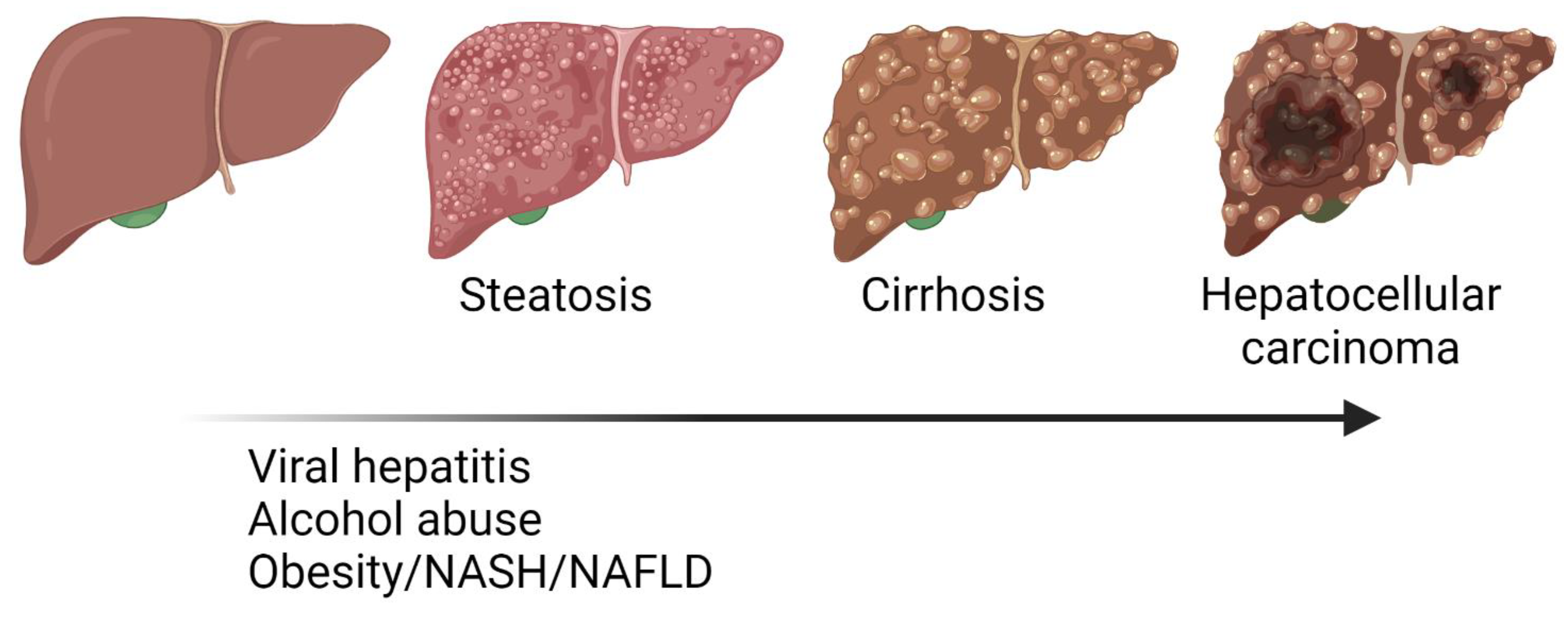 Metabolites 12 00779 g001 550