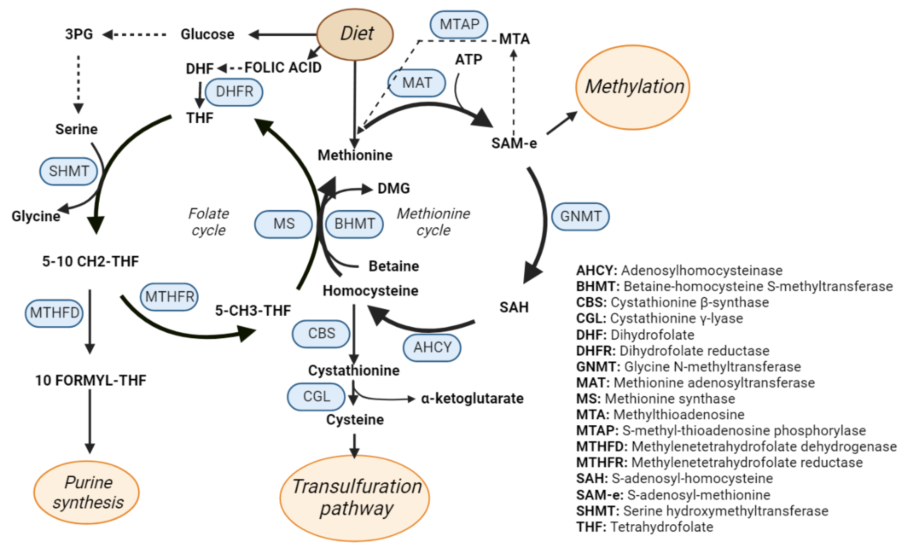 Metabolites 12 00779 g003 550