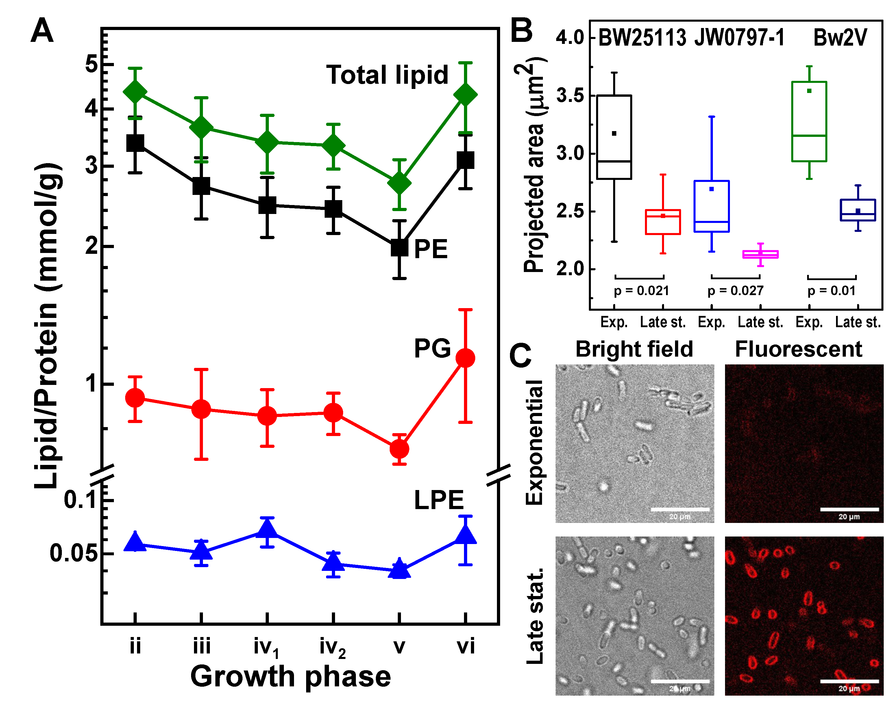 Metabolites 12 00784 g006