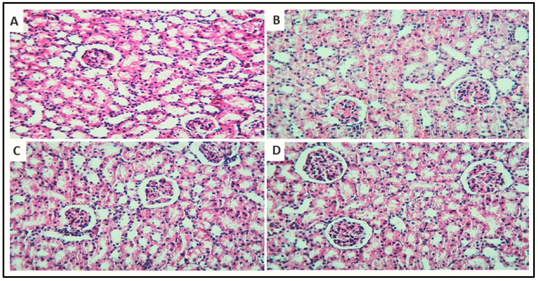 Metabolites 12 00792 g011