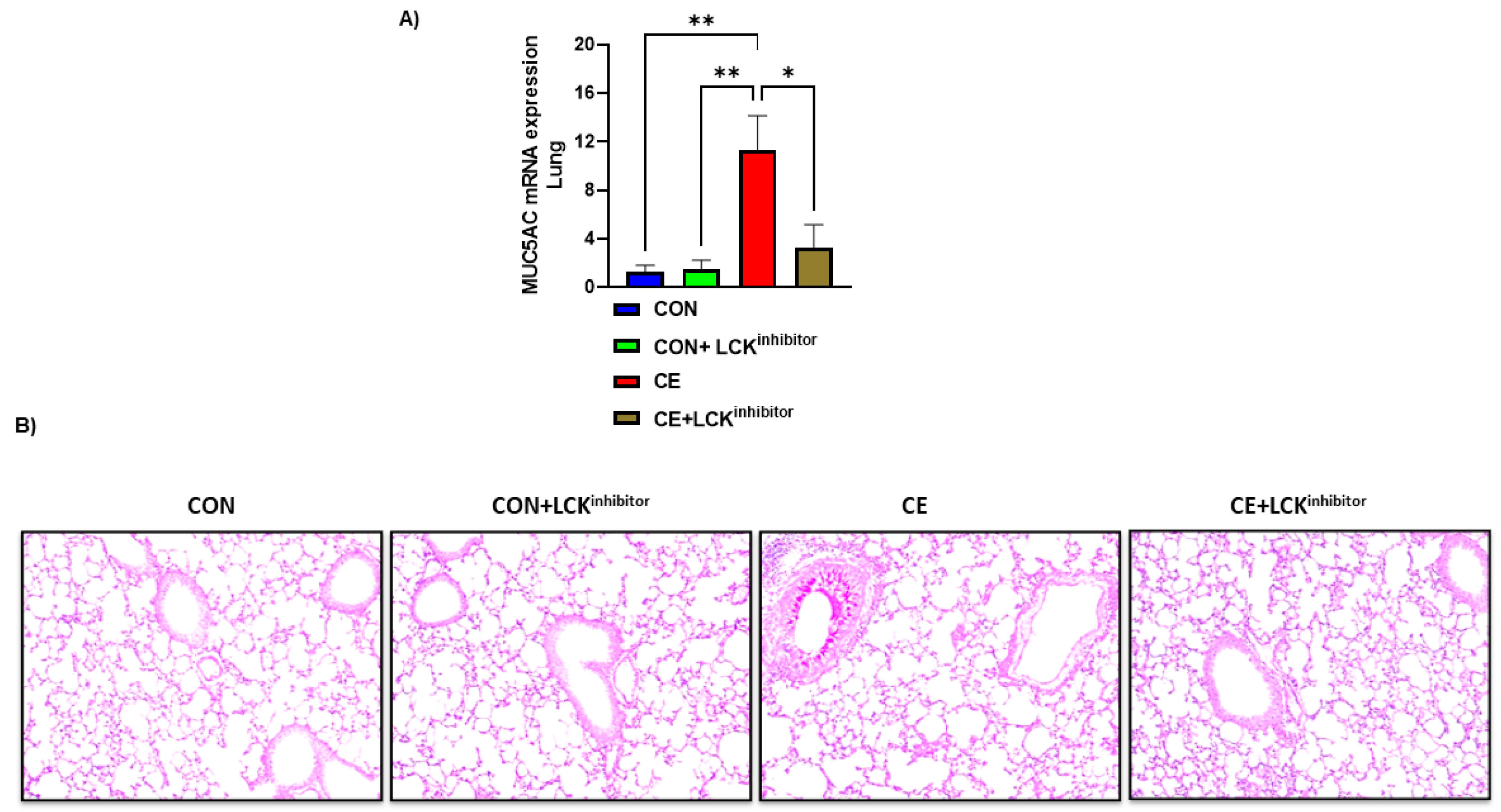 Metabolites 12 00793 g003