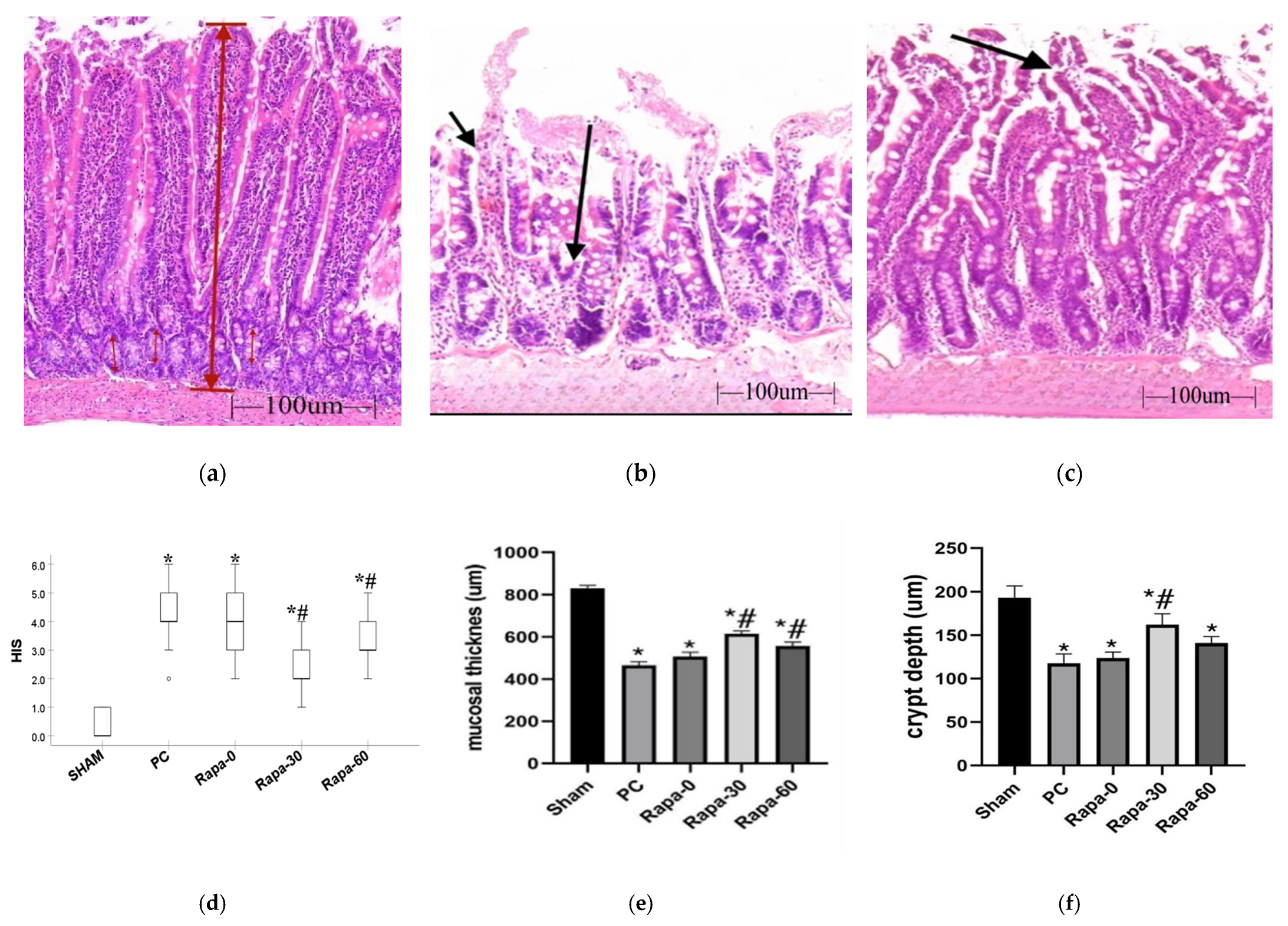 Metabolites 12 00794 g001