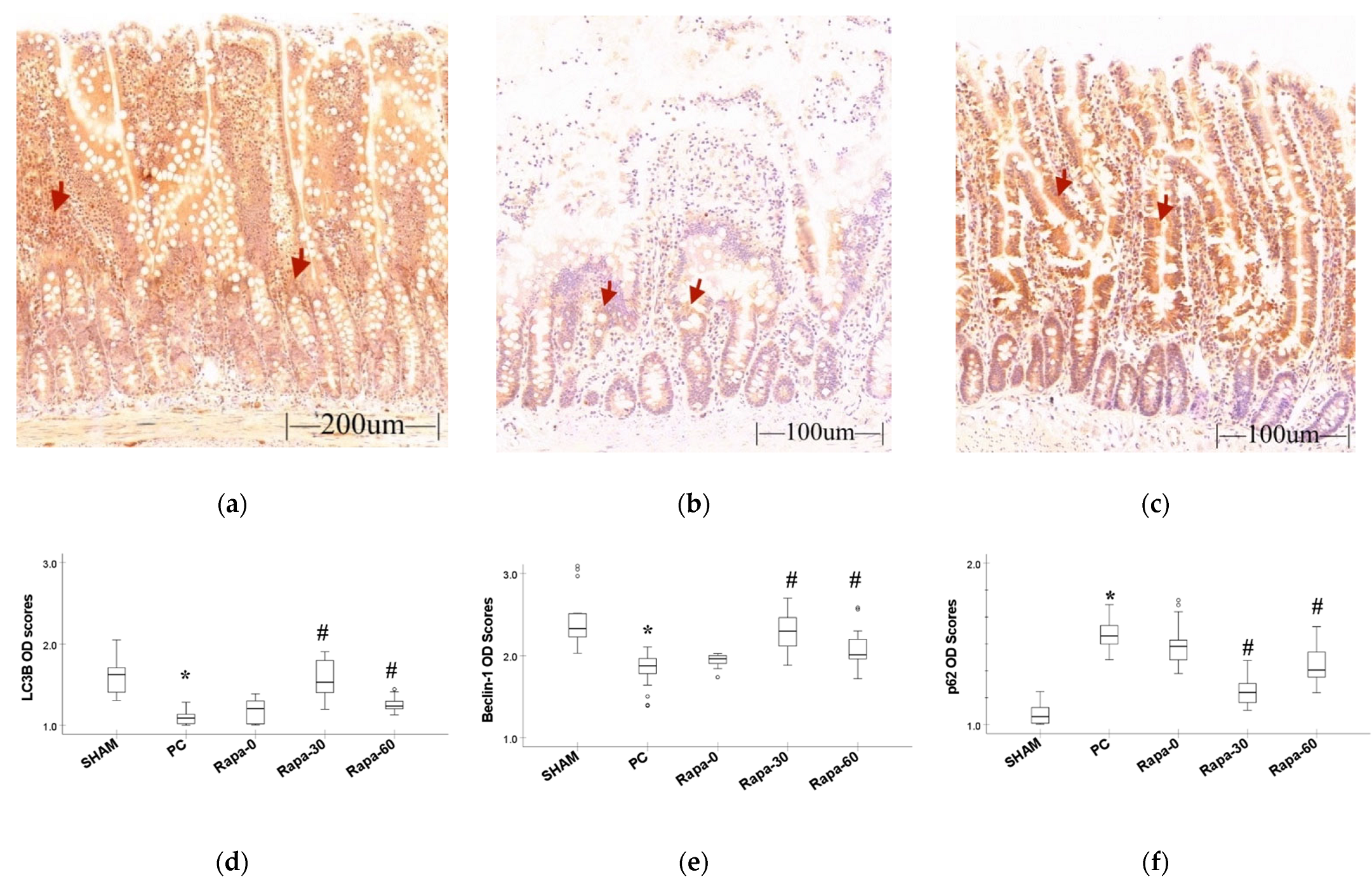 Metabolites 12 00794 g003