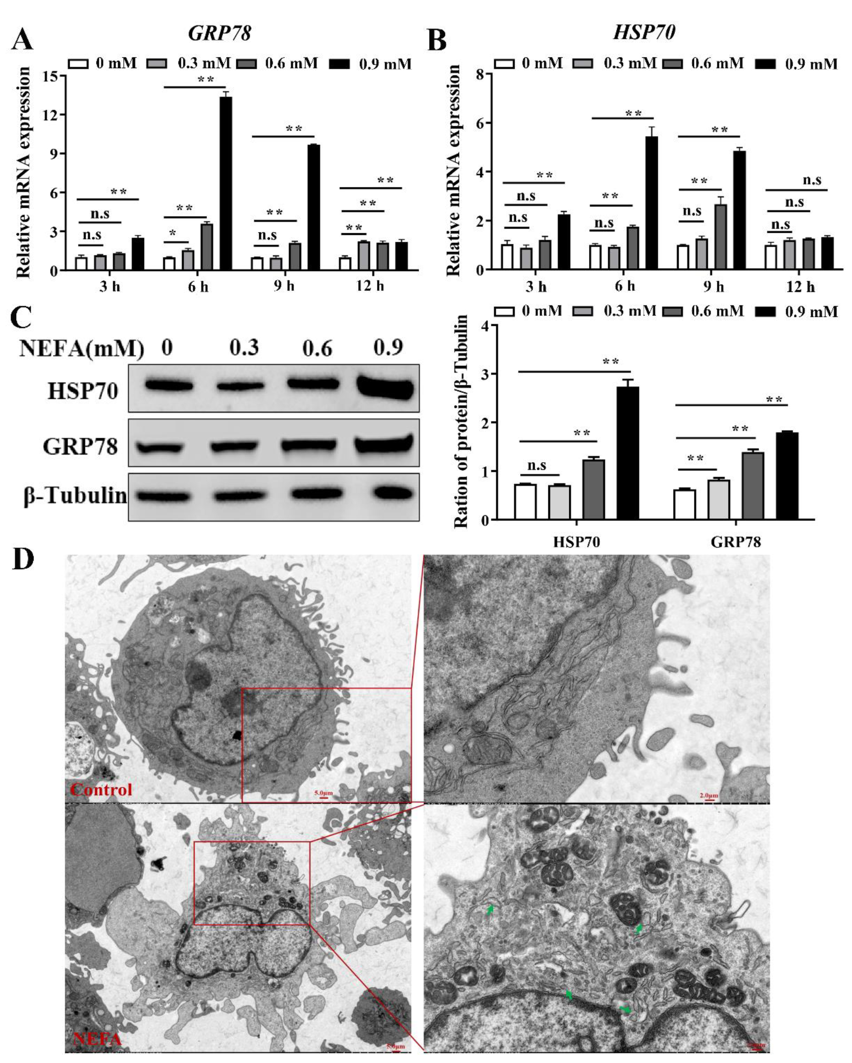 Metabolites 12 00803 g001