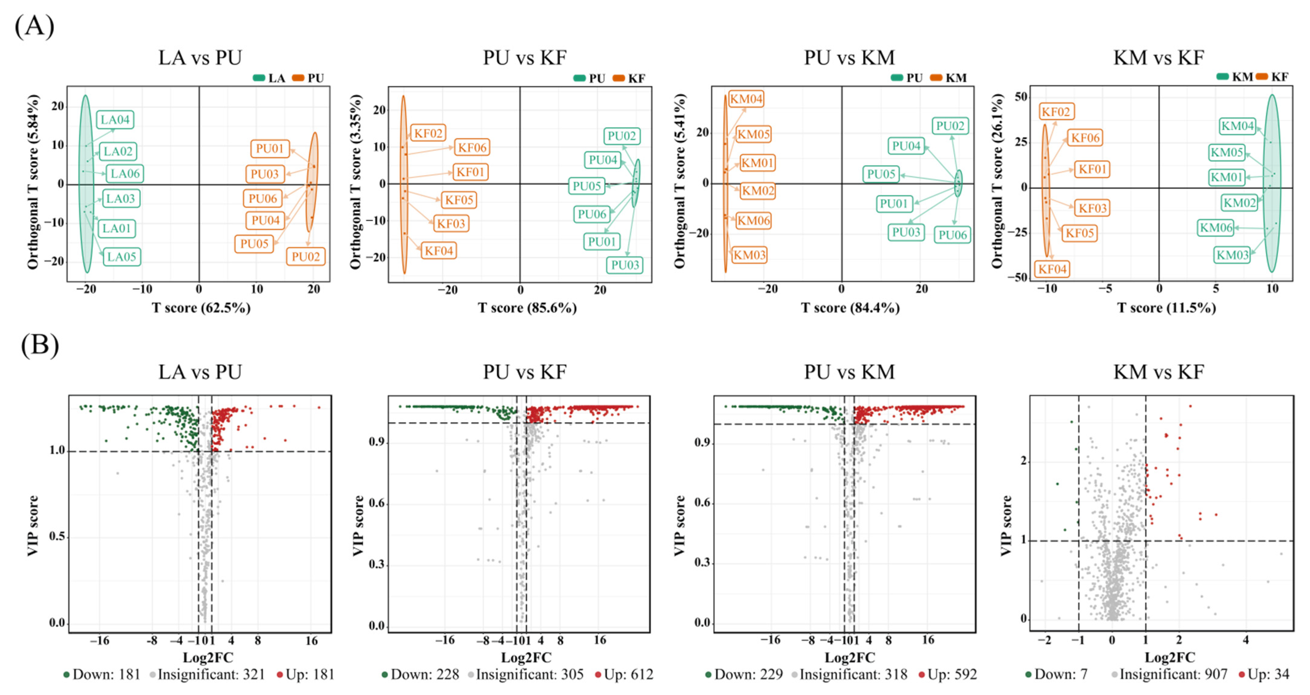 Metabolites 12 00804 g002