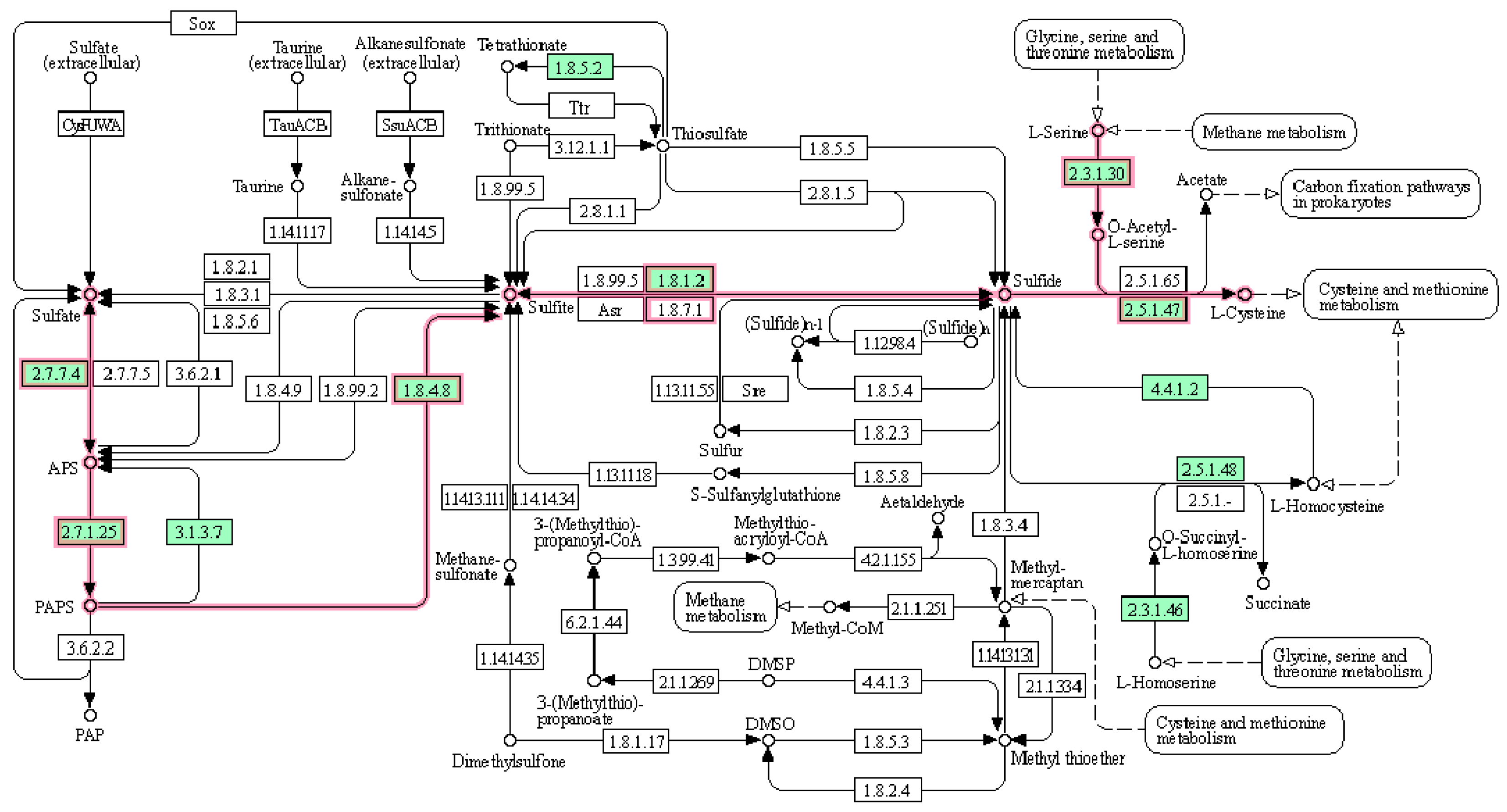 Metabolites 12 00808 g003