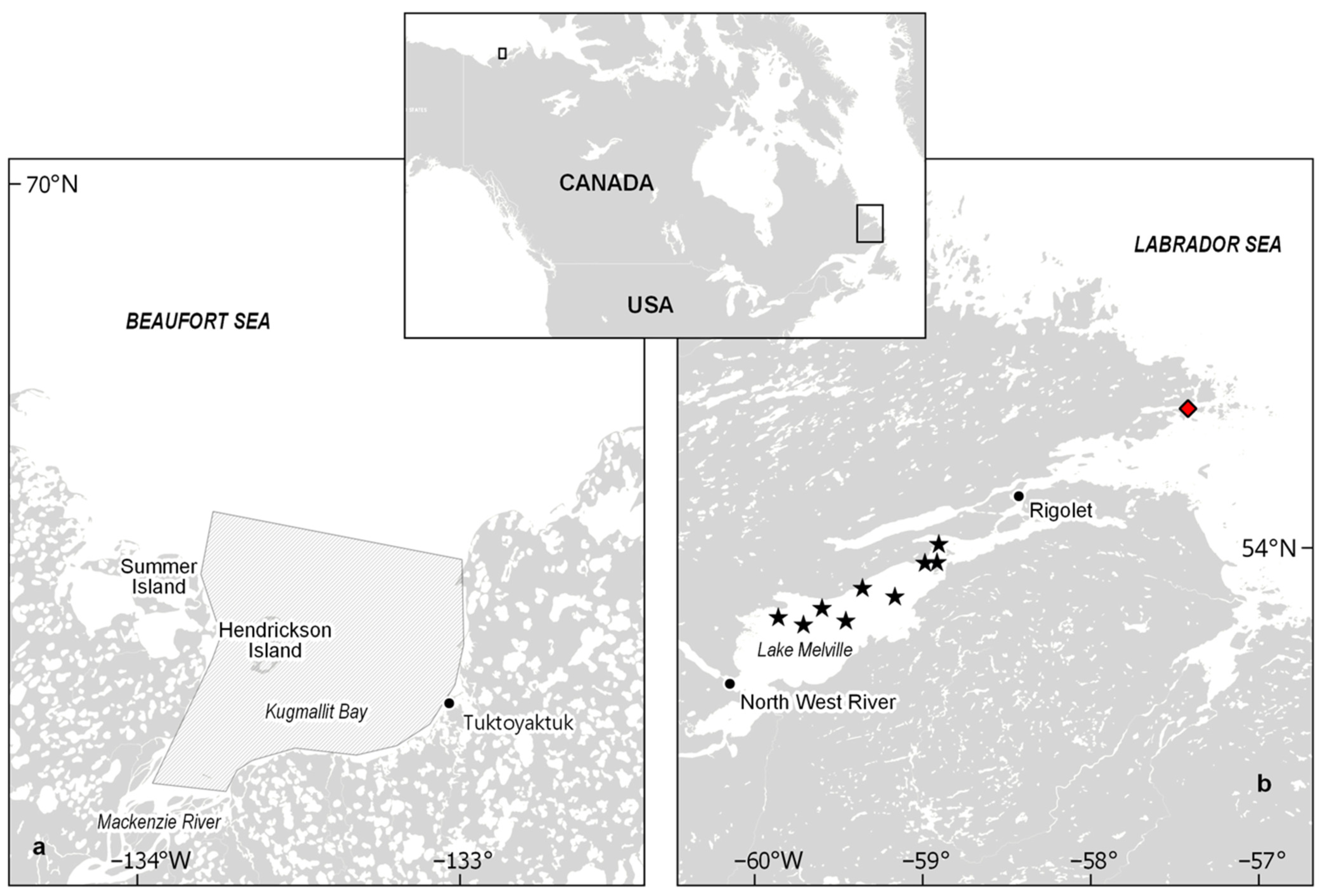 Metabolites 12 00813 g004 550