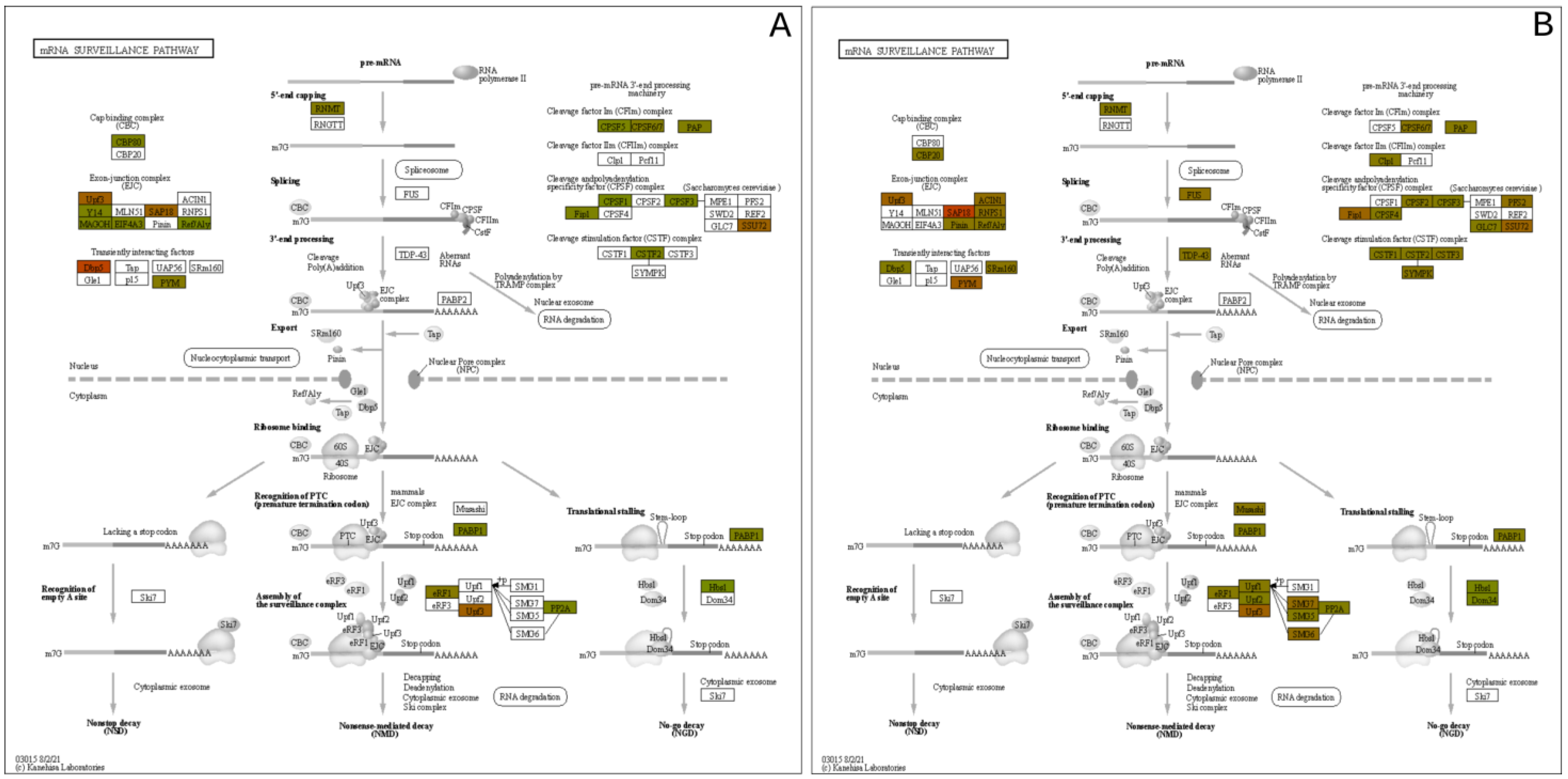 Metabolites 12 00815 g009