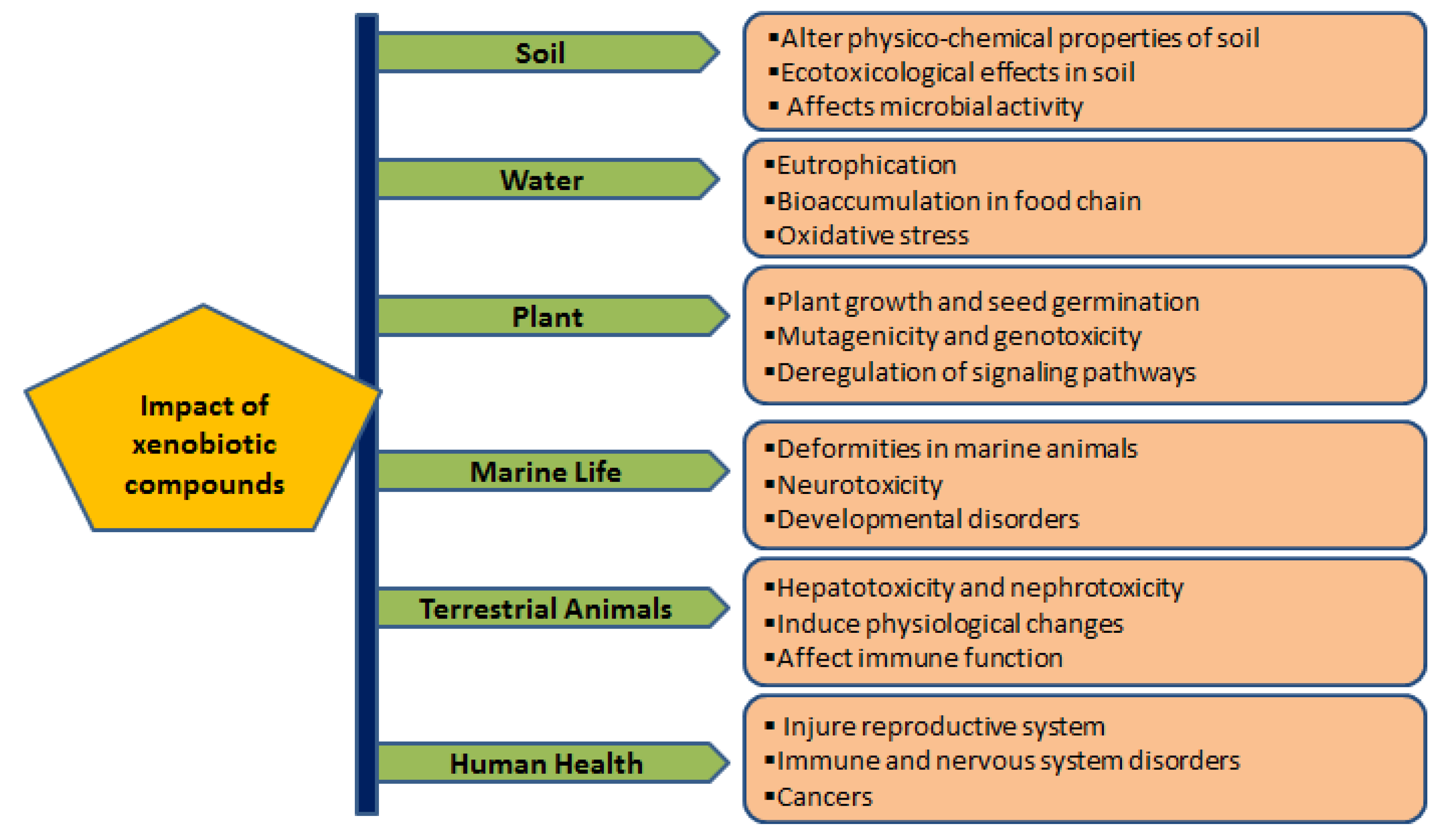 Metabolites 12 00818 g001 550