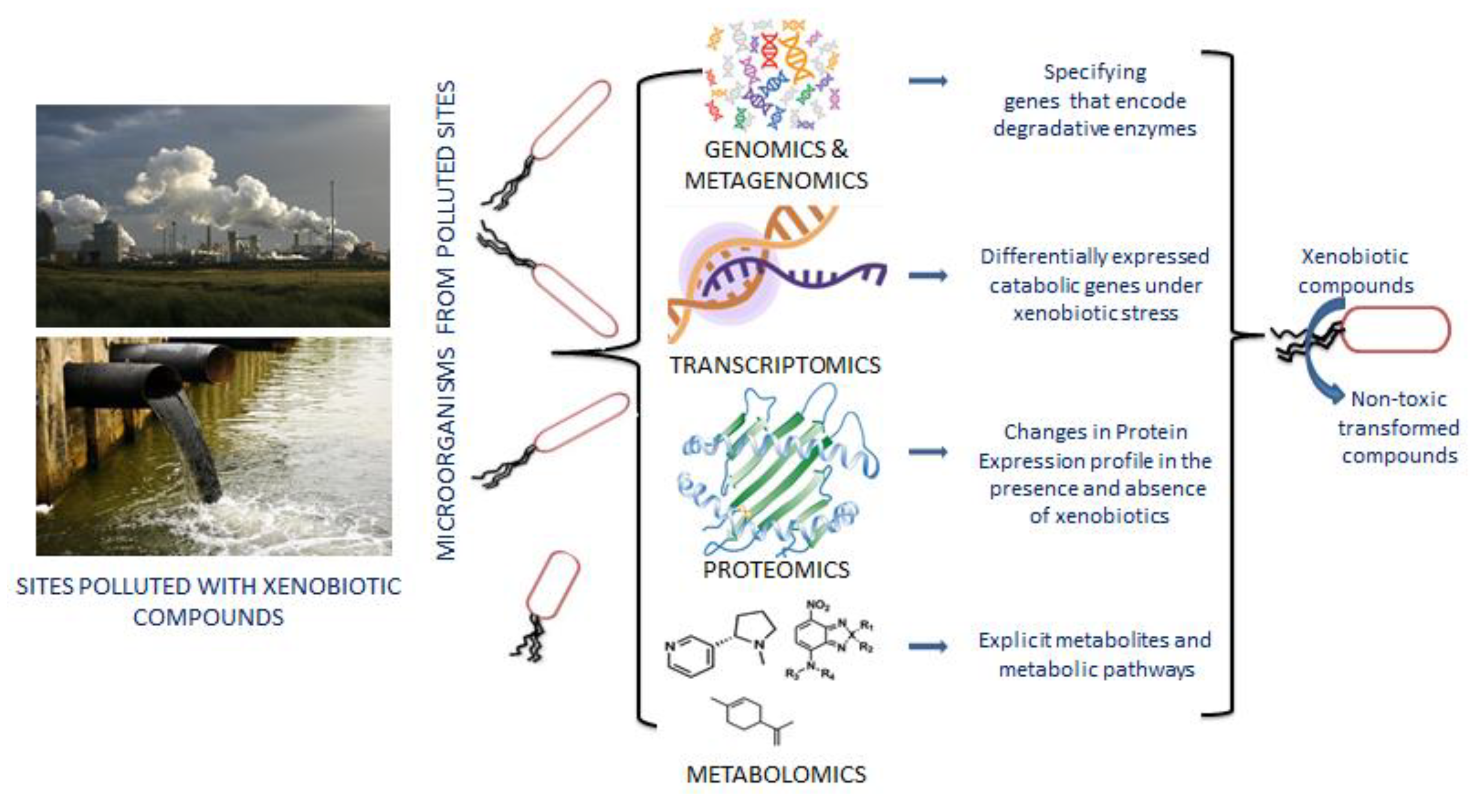 Metabolites 12 00818 g002 550