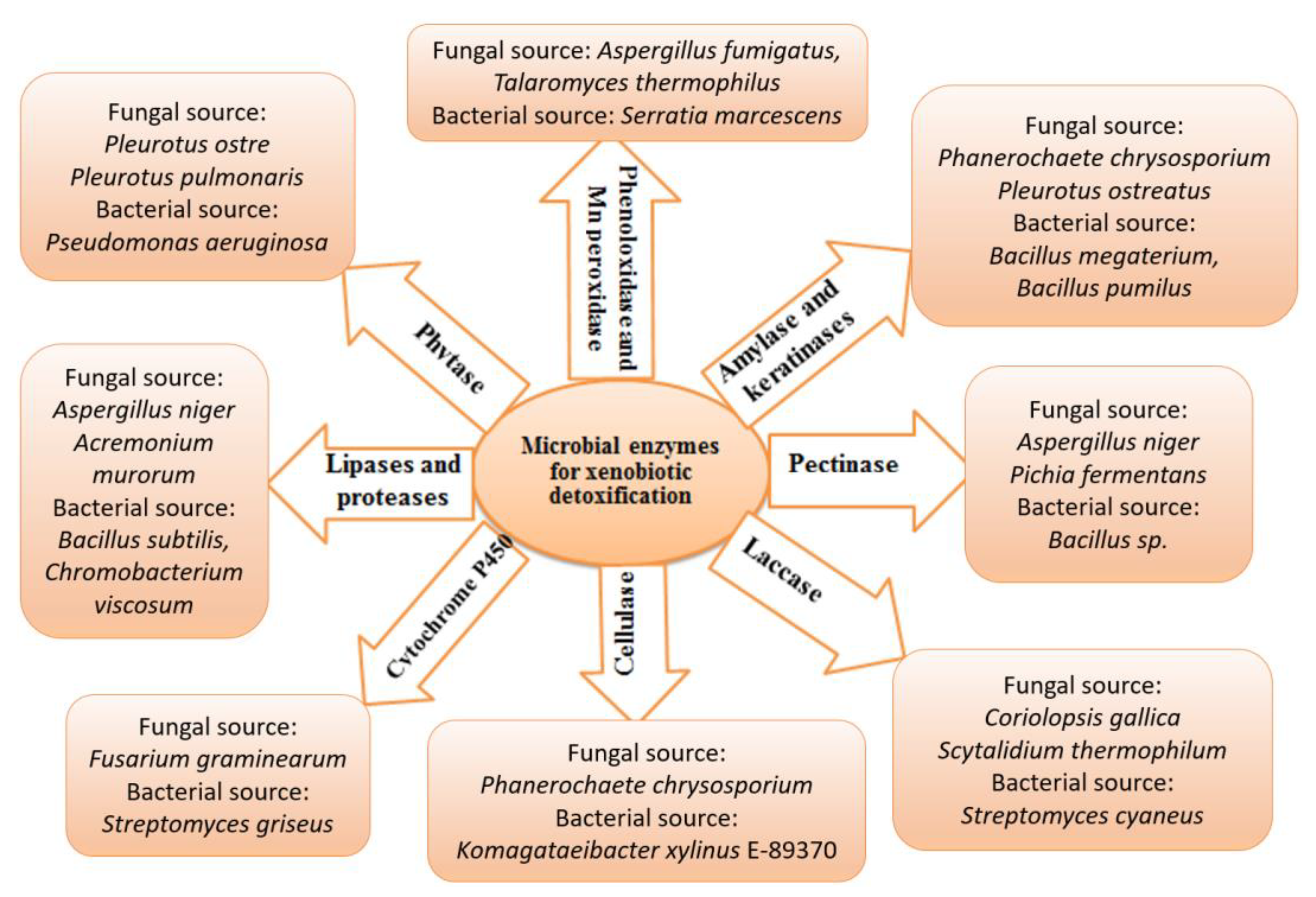 Metabolites 12 00818 g004 550