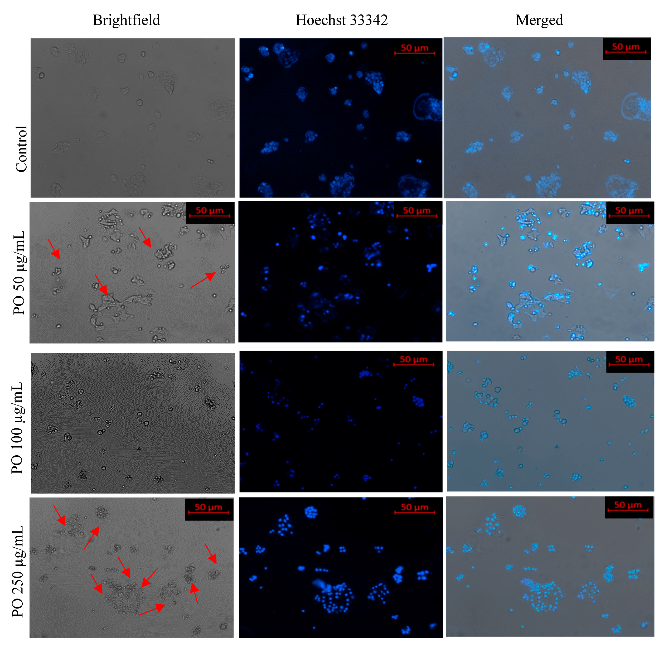 Metabolites 12 00821 g007
