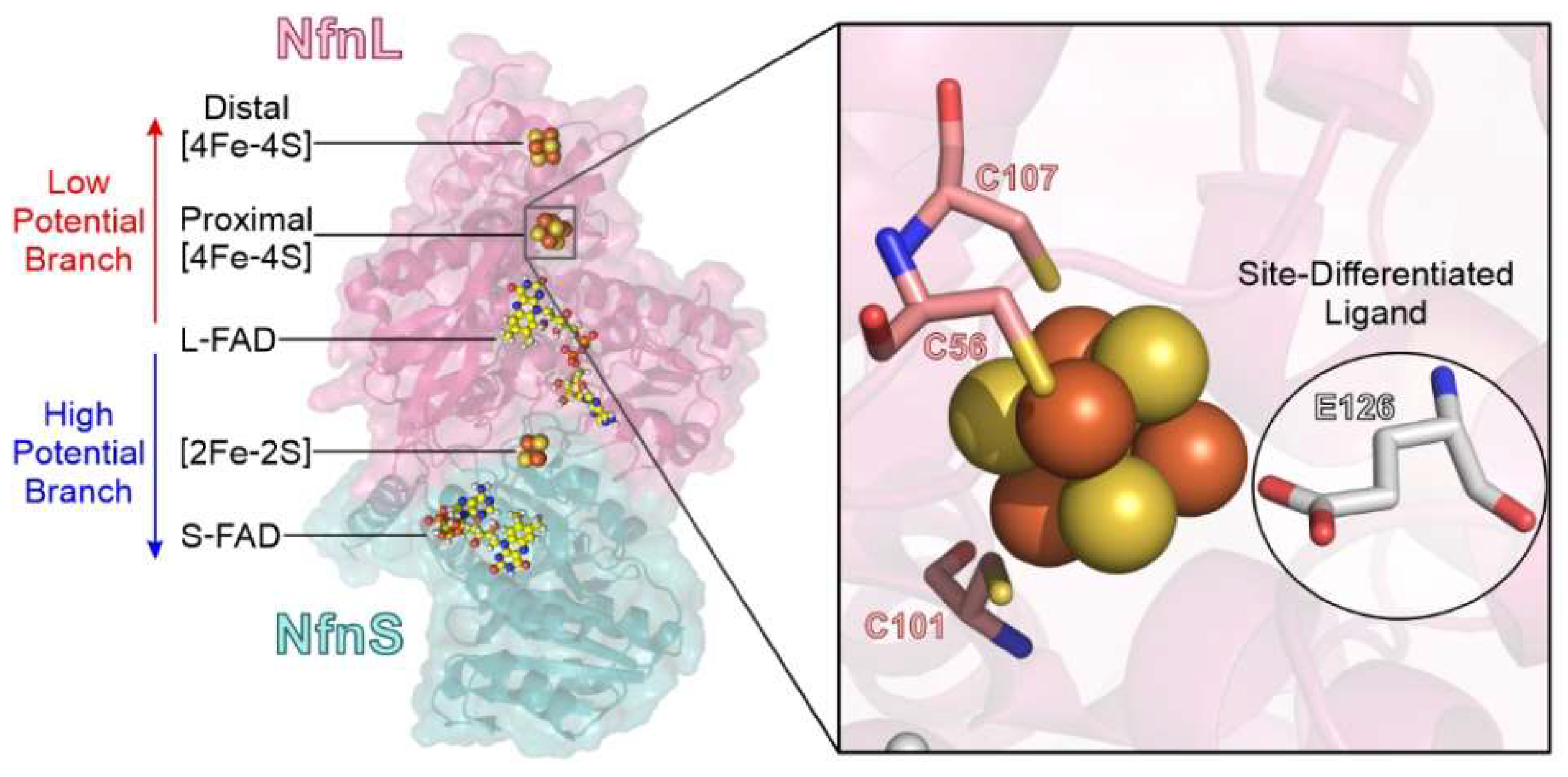 Metabolites 12 00823 g001 550