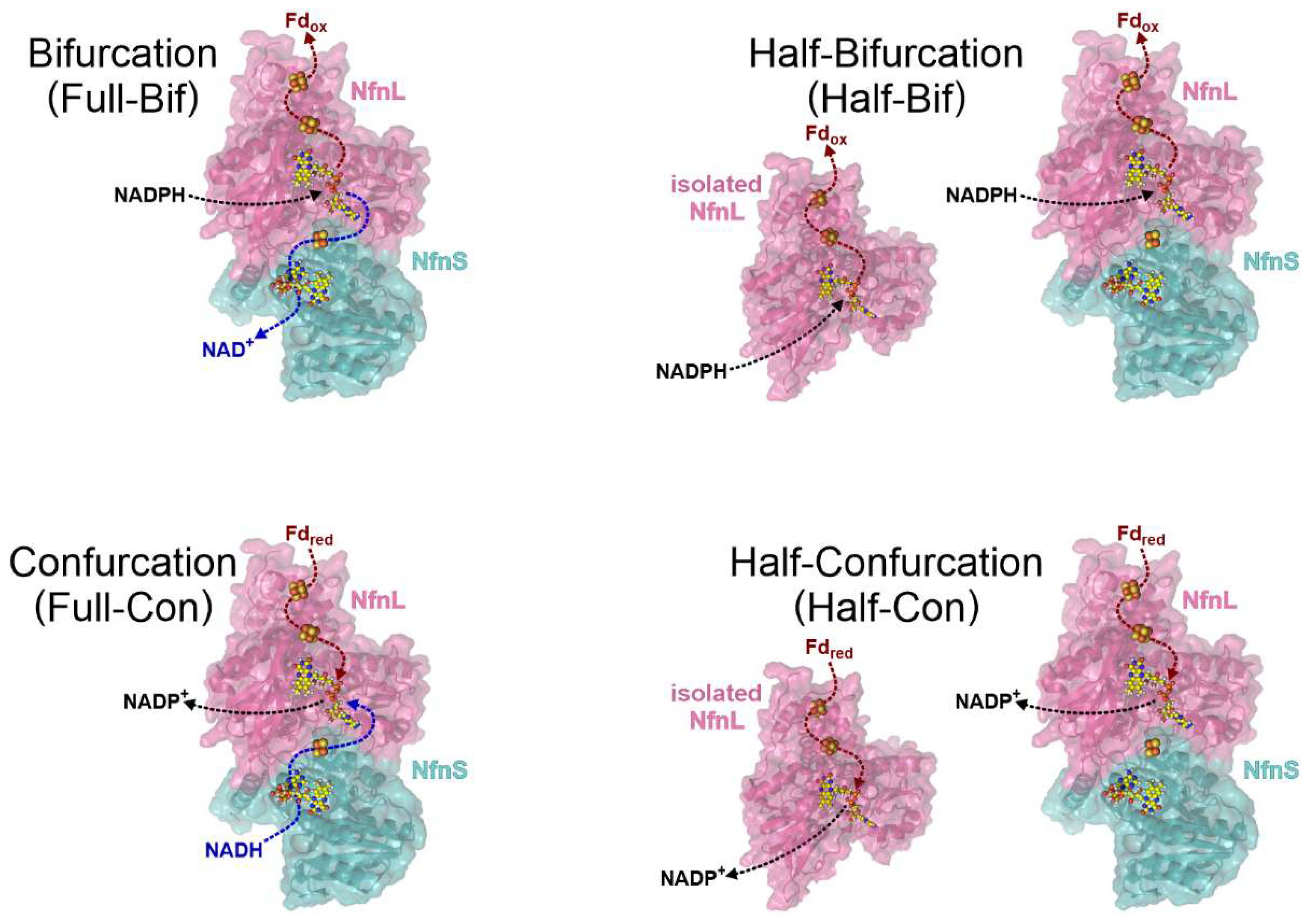 Metabolites 12 00823 g002 550