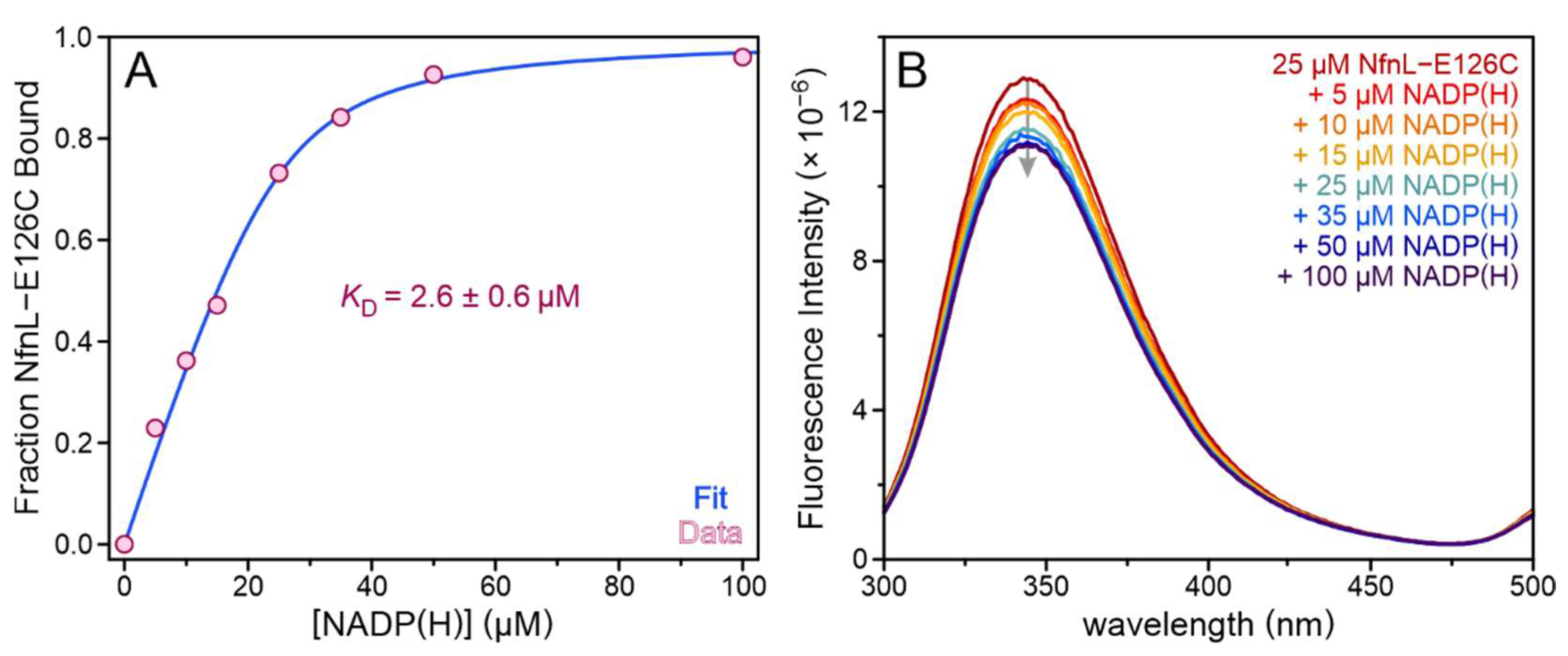 Metabolites 12 00823 g003 550