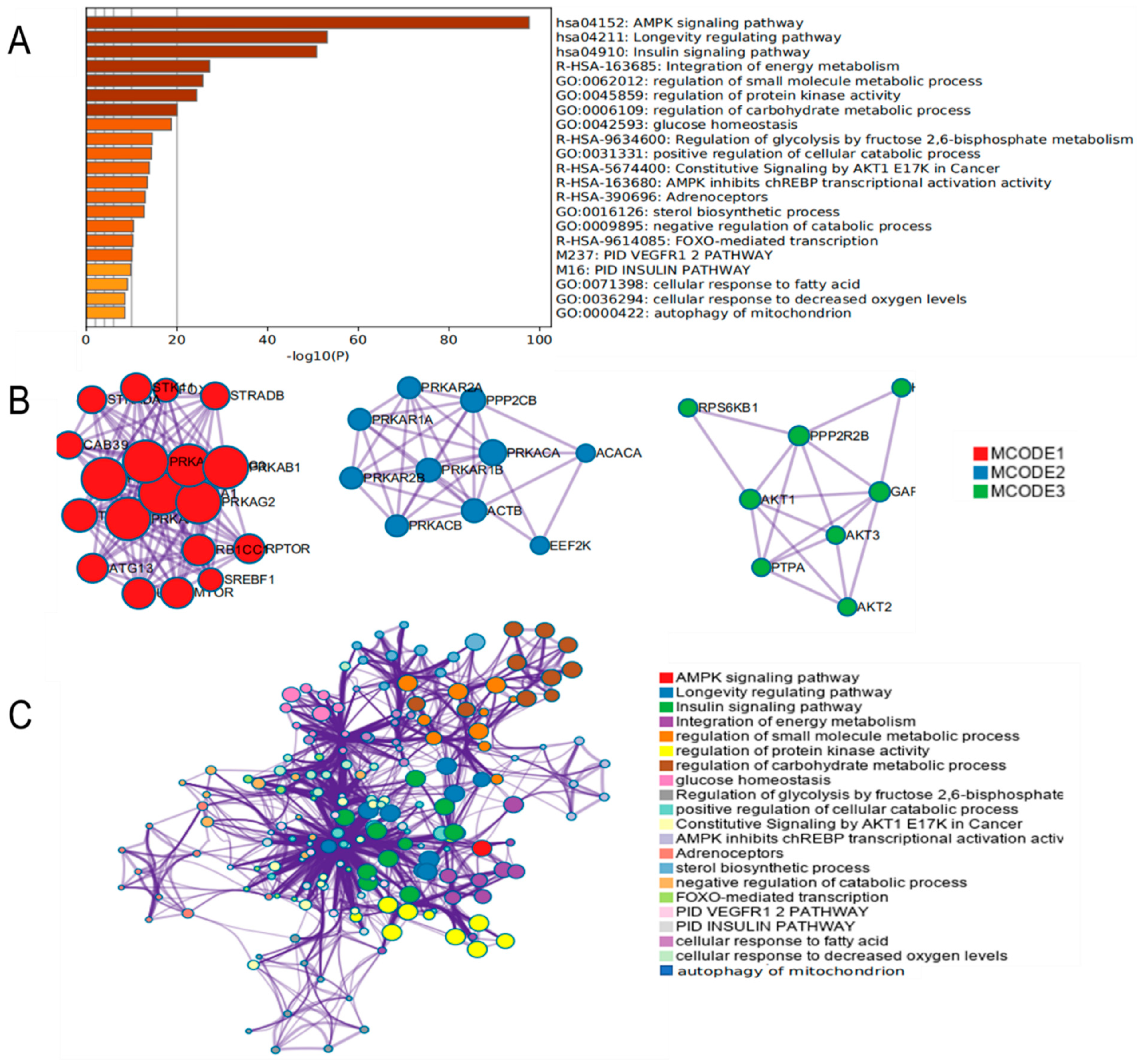 Metabolites 12 00825 g004