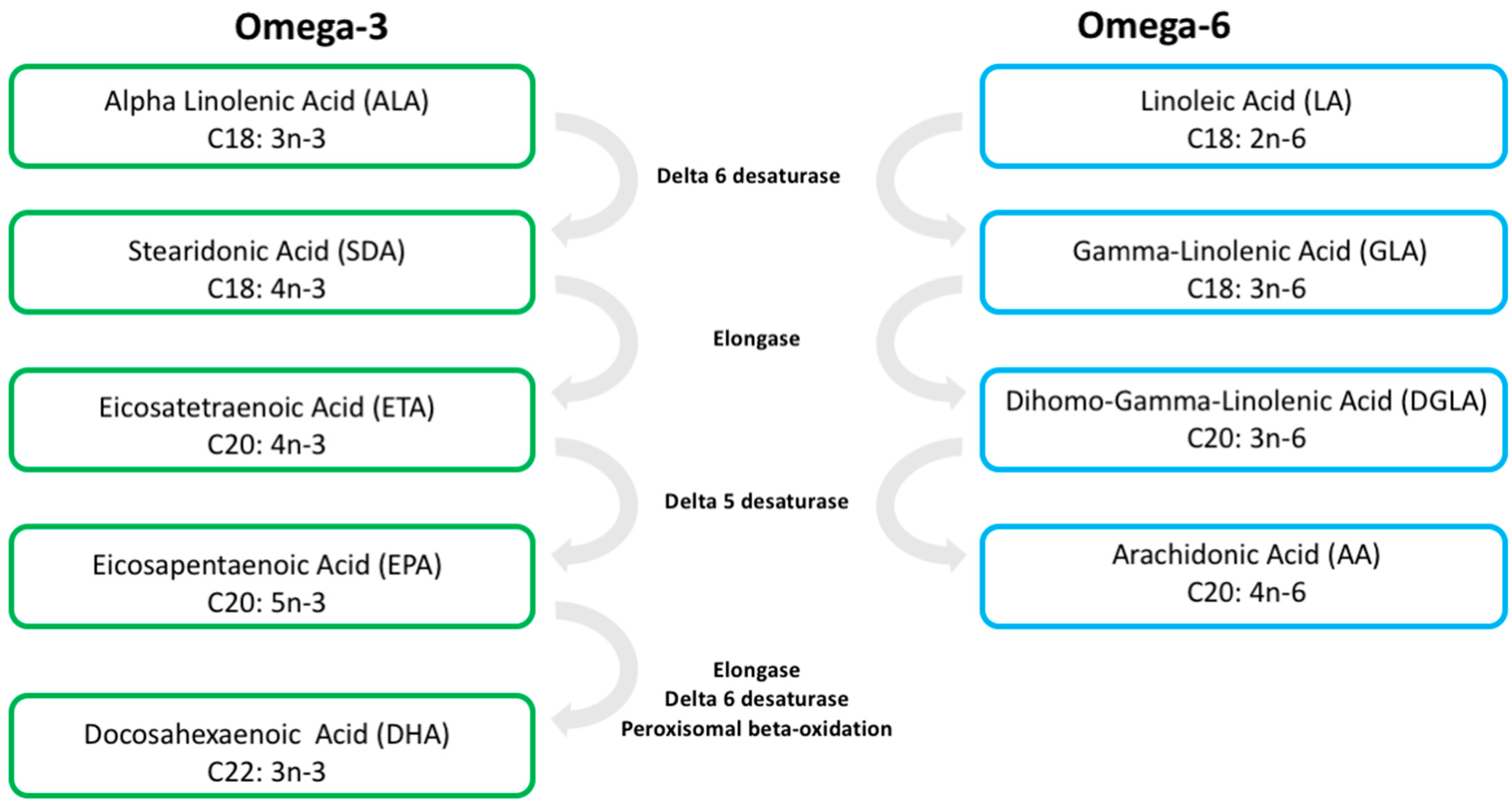 Metabolites 12 00826 g001