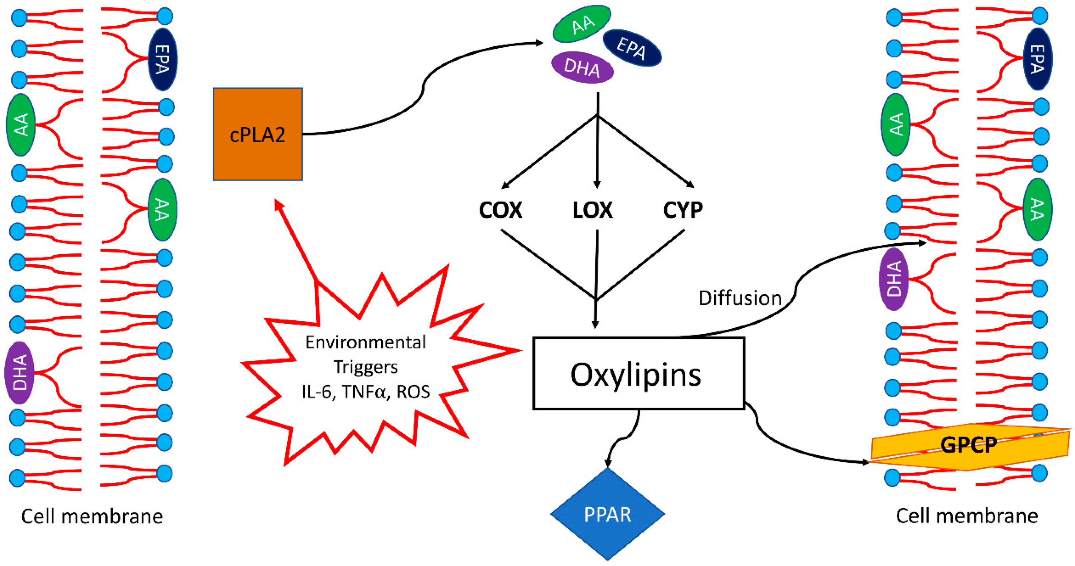 Metabolites 12 00826 g002