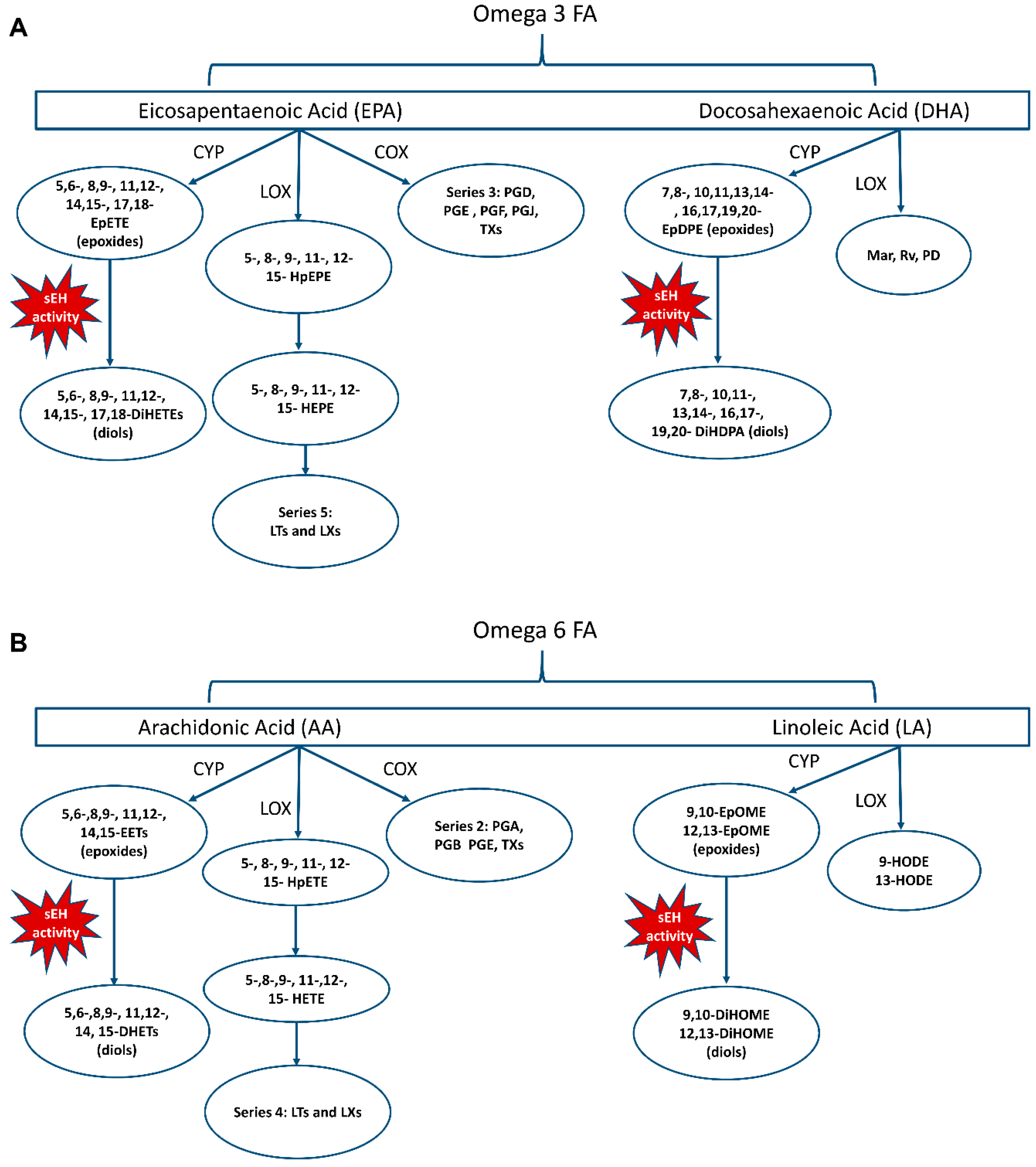 Metabolites 12 00826 g003