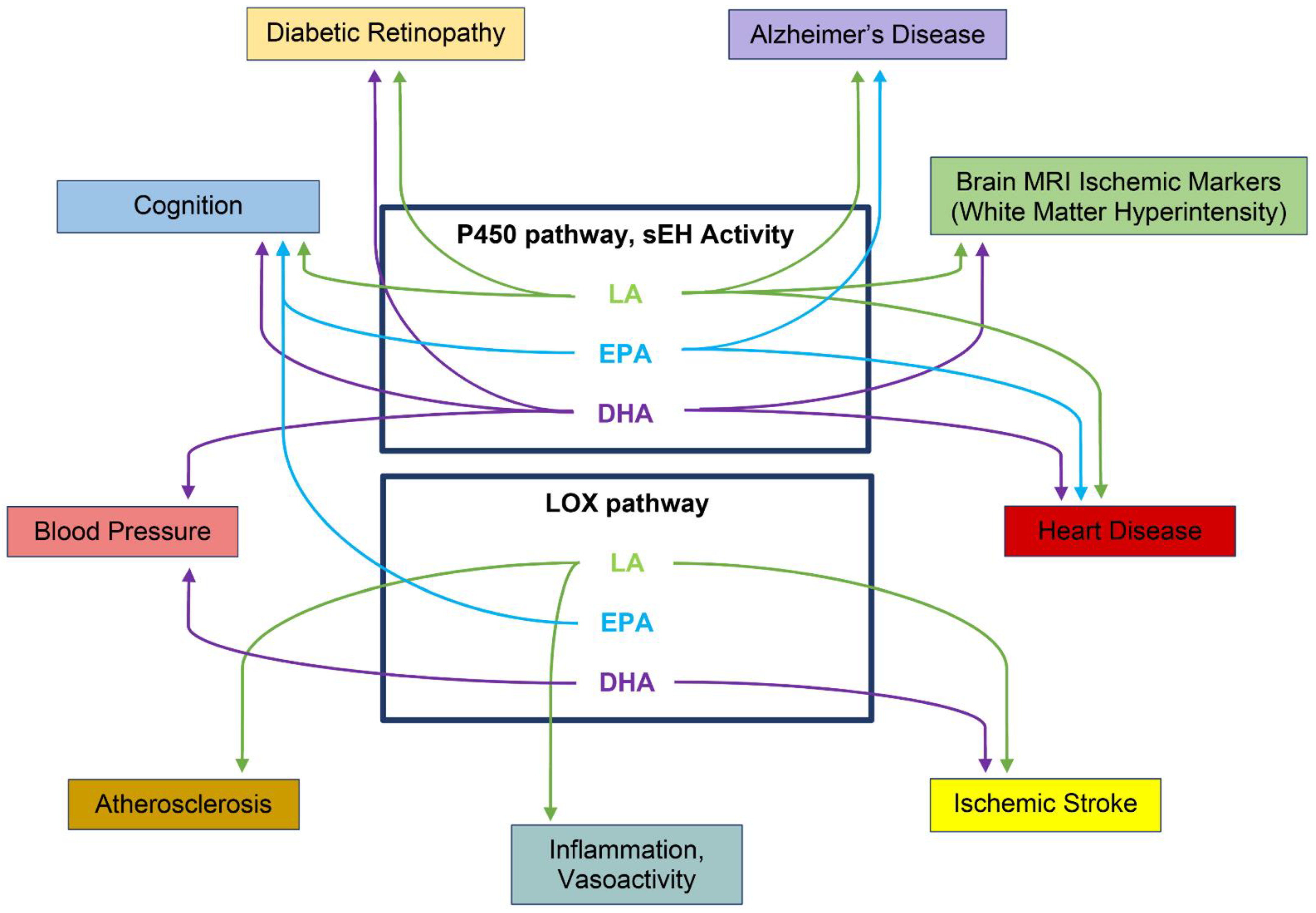 Metabolites 12 00826 g004