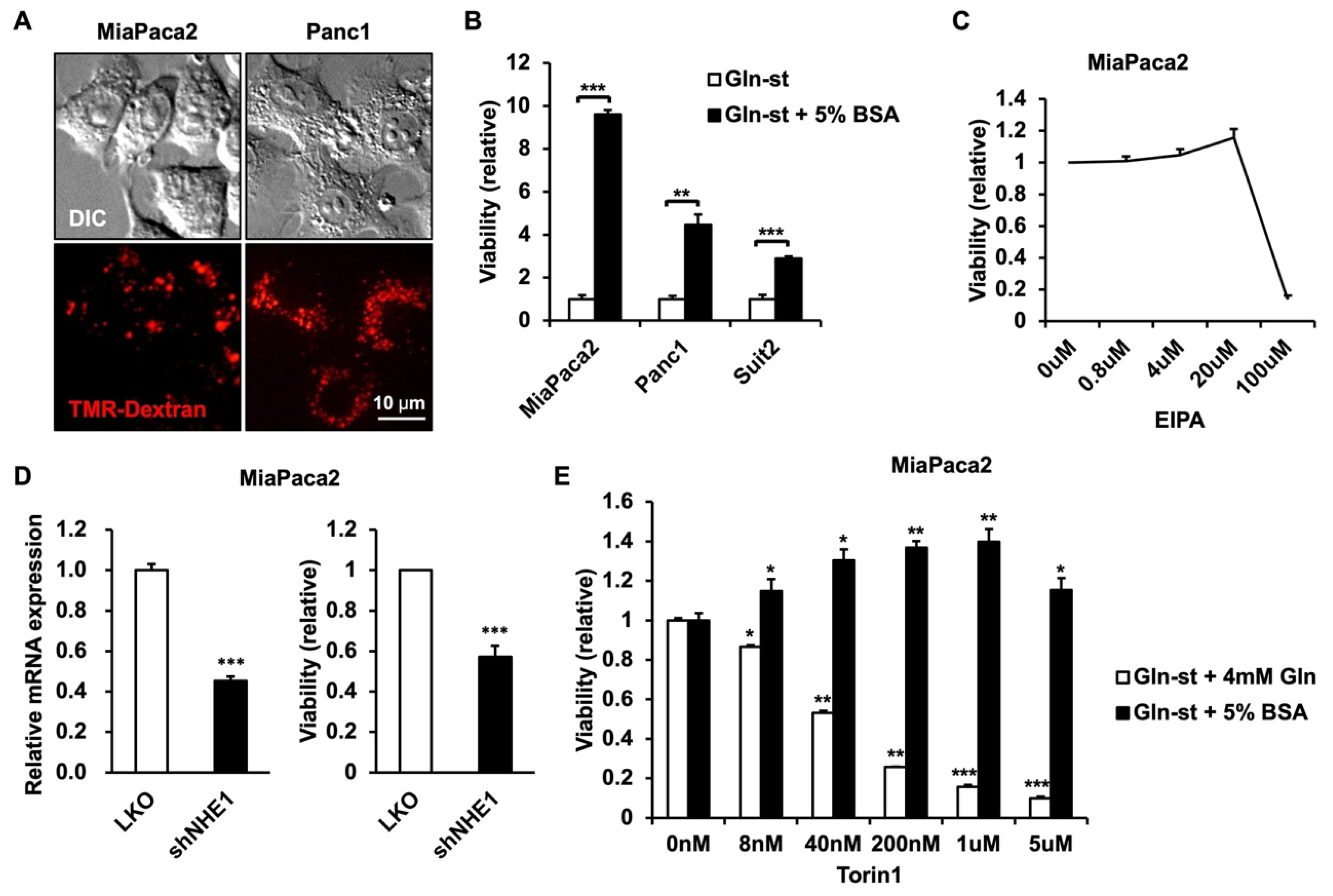 Metabolites 12 00831 g001