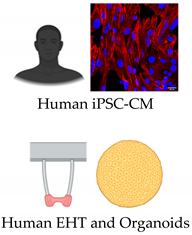 Metabolites 12 00832 i002 Metabolites 12 00832 i002