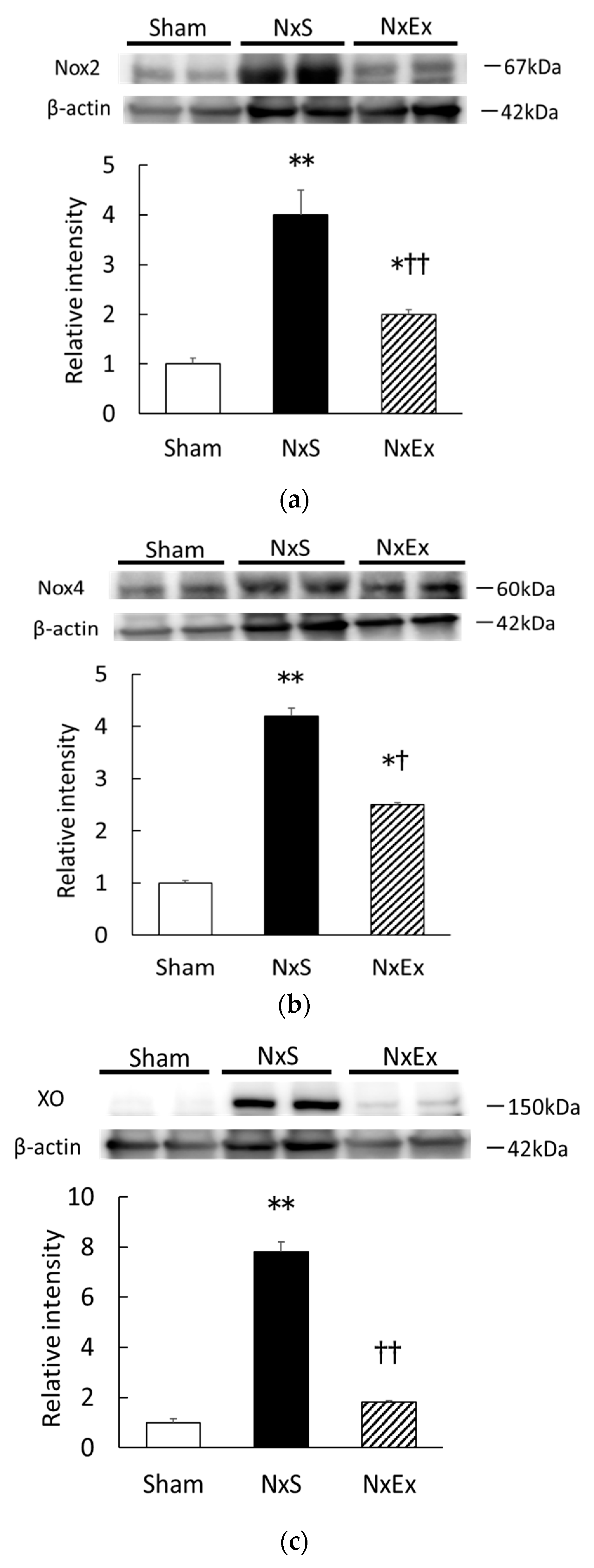 Metabolites 12 00836 g003