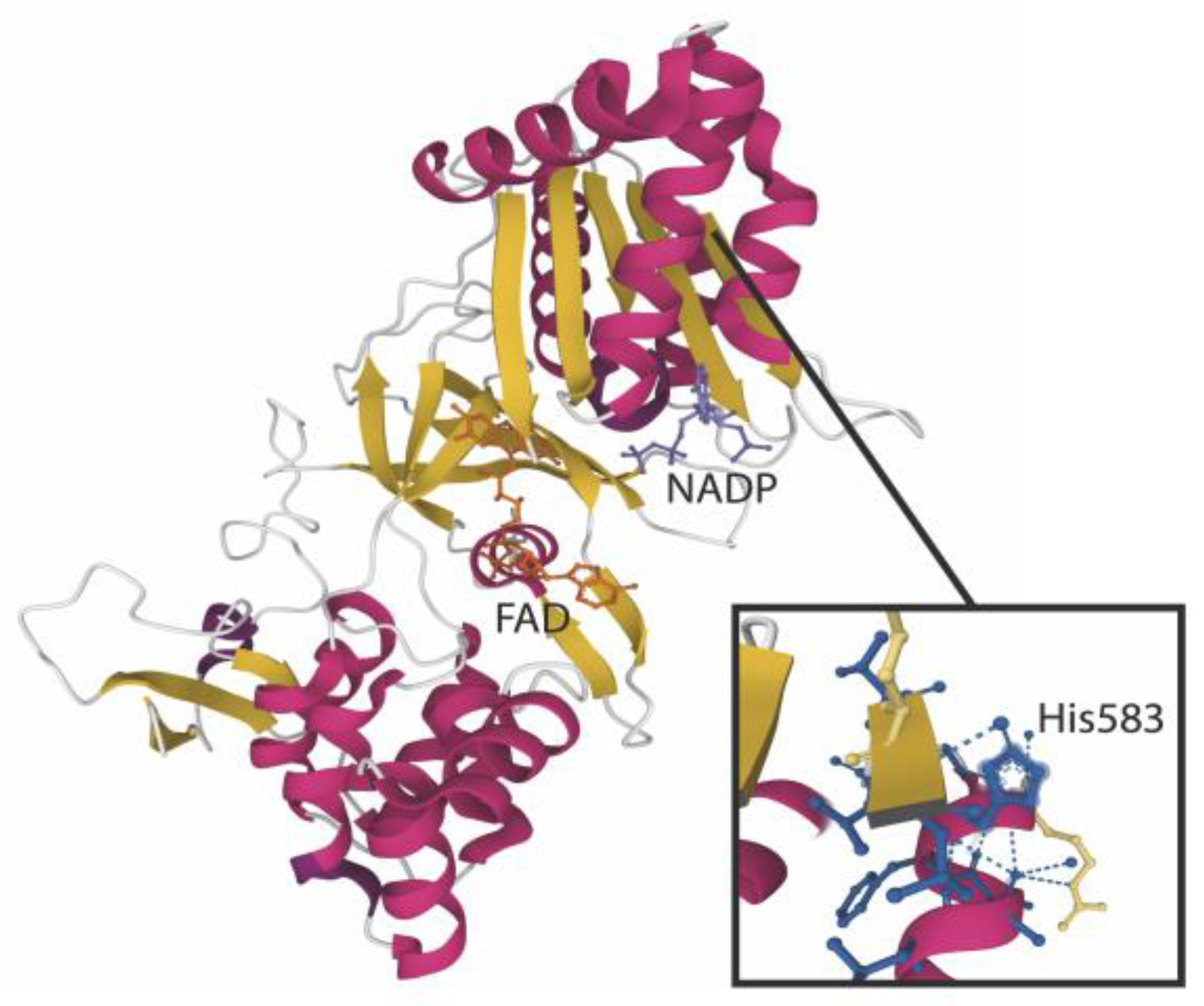 Metabolites 12 00852 g006