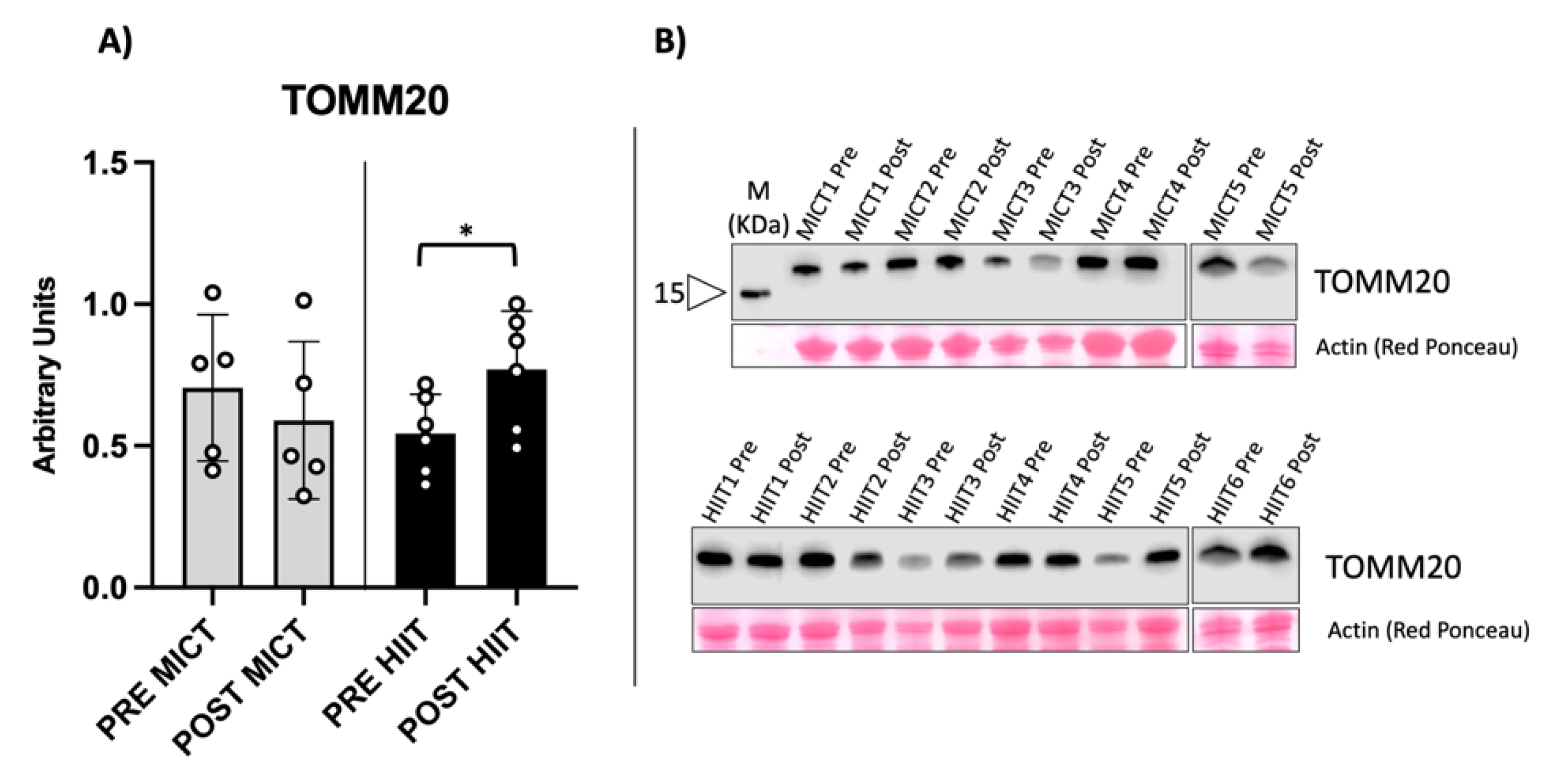 Metabolites 12 00855 g001