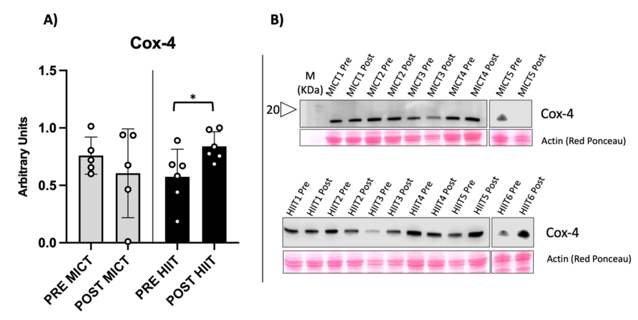 Metabolites 12 00855 g002