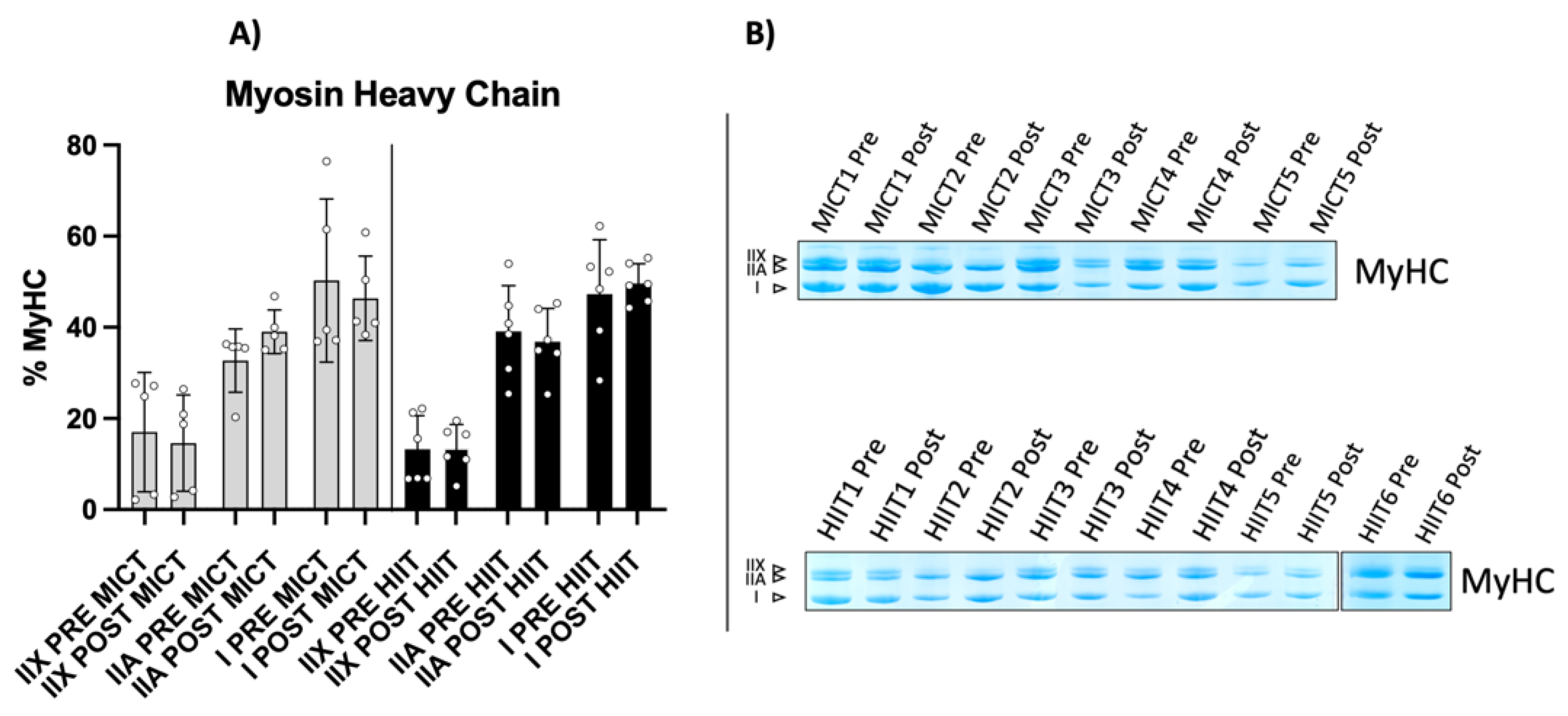 Metabolites 12 00855 g003
