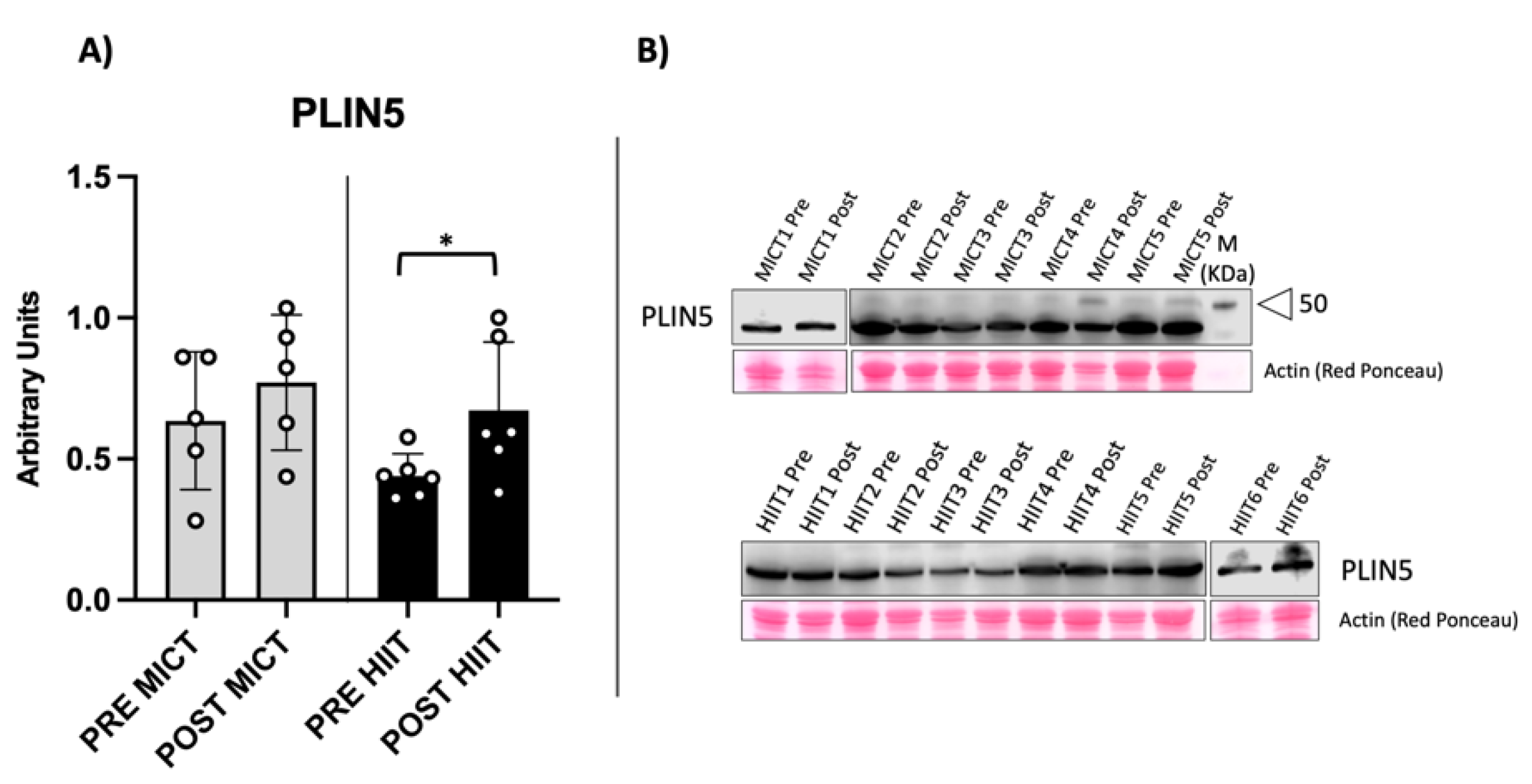 Metabolites 12 00855 g005