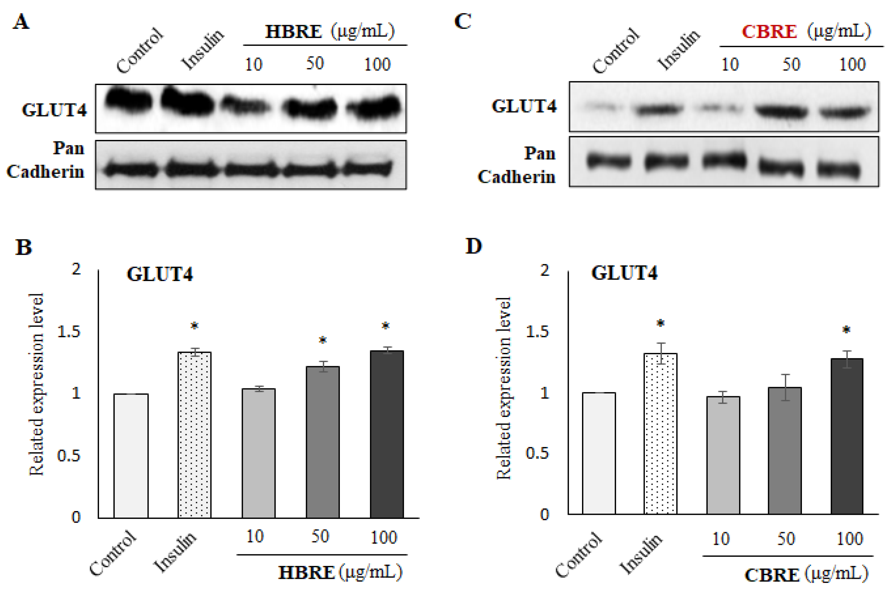 Metabolites 12 00856 g003