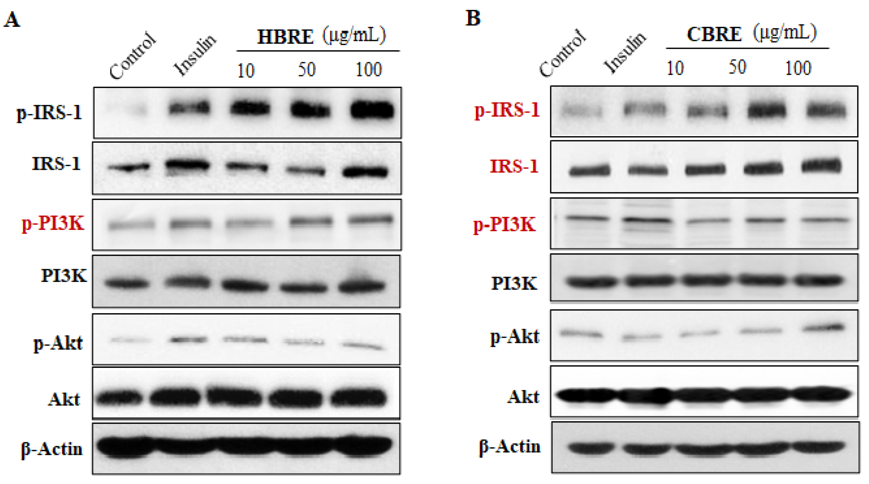 Metabolites 12 00856 g004a
