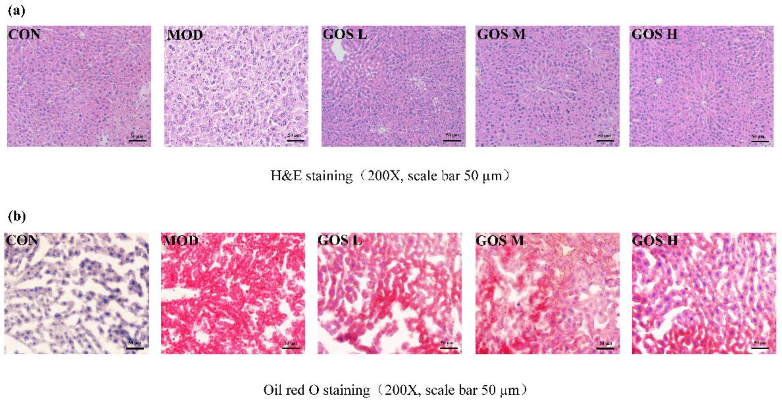 Metabolites 12 00867 g004 550
