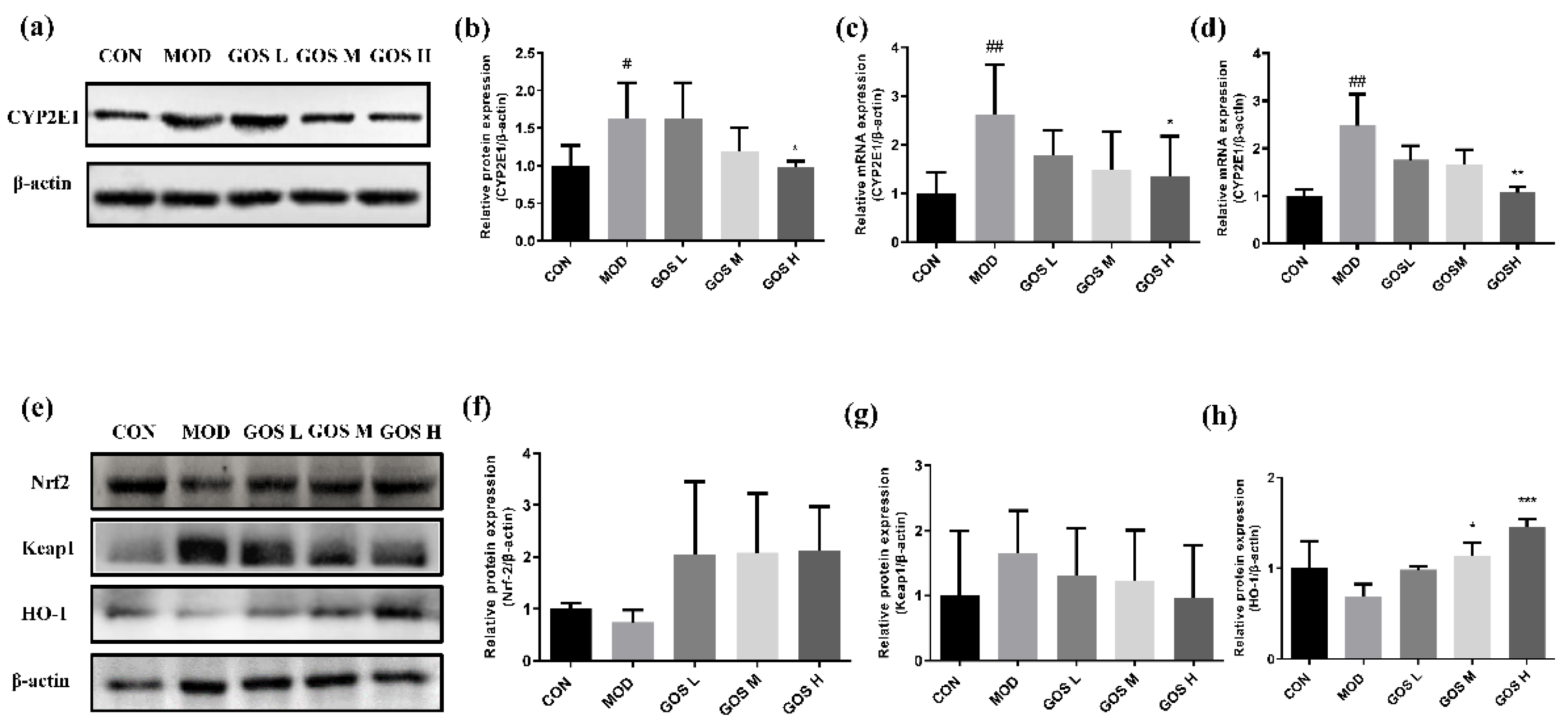 Metabolites 12 00867 g007 550