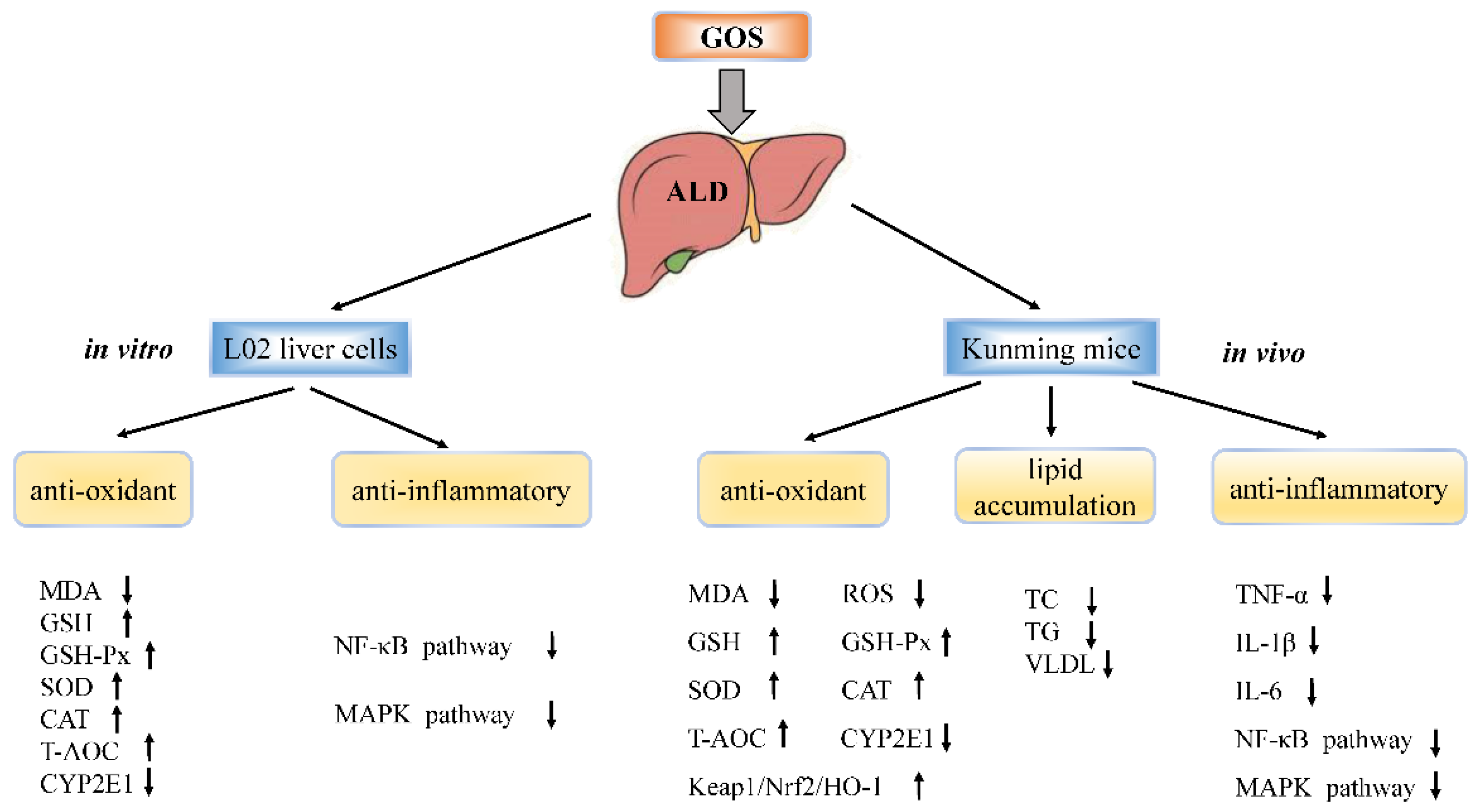 Metabolites 12 00867 g011 550