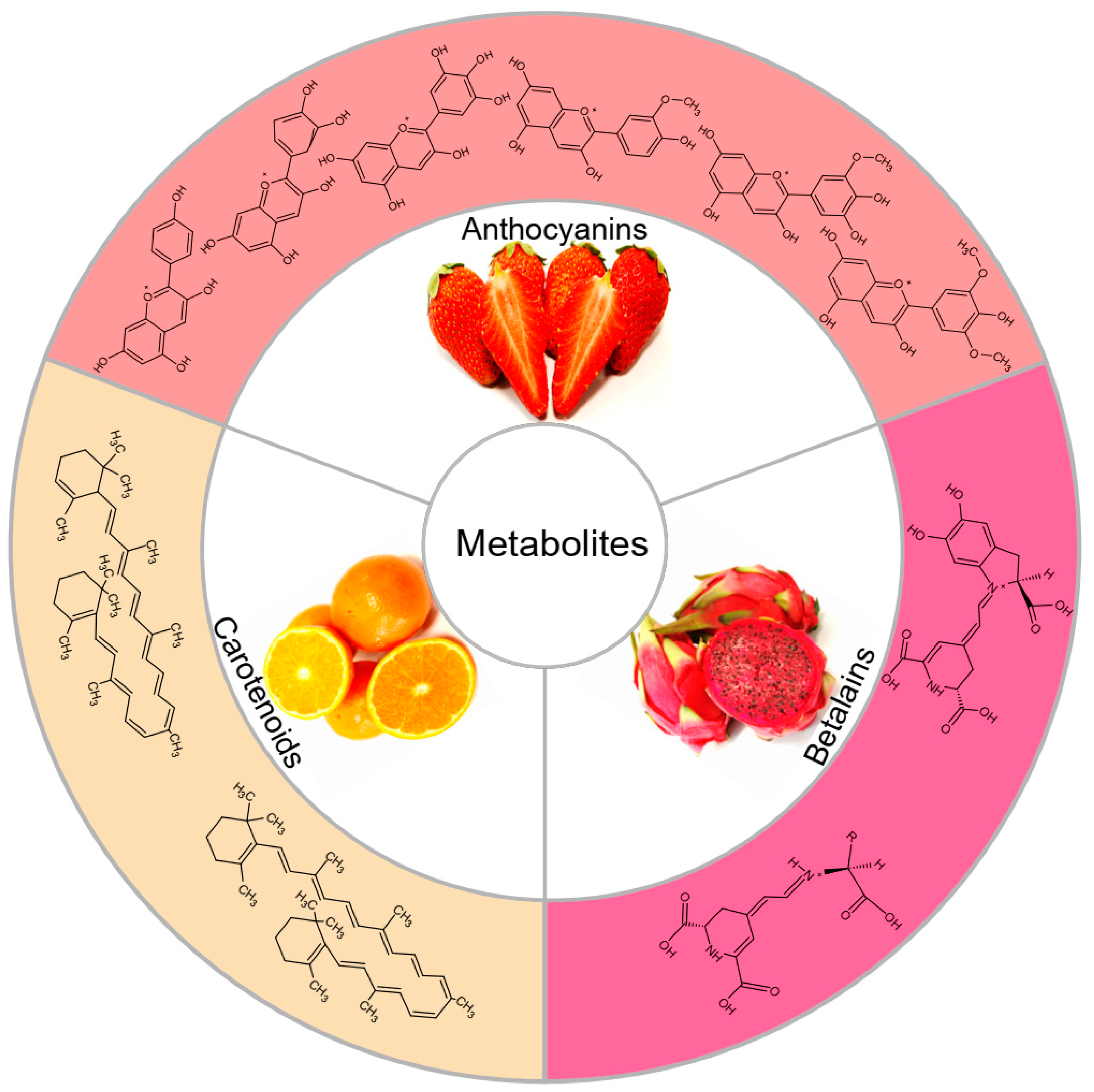 Metabolites | Free Full-Text | Regulation Mechanism of Plant Pigments