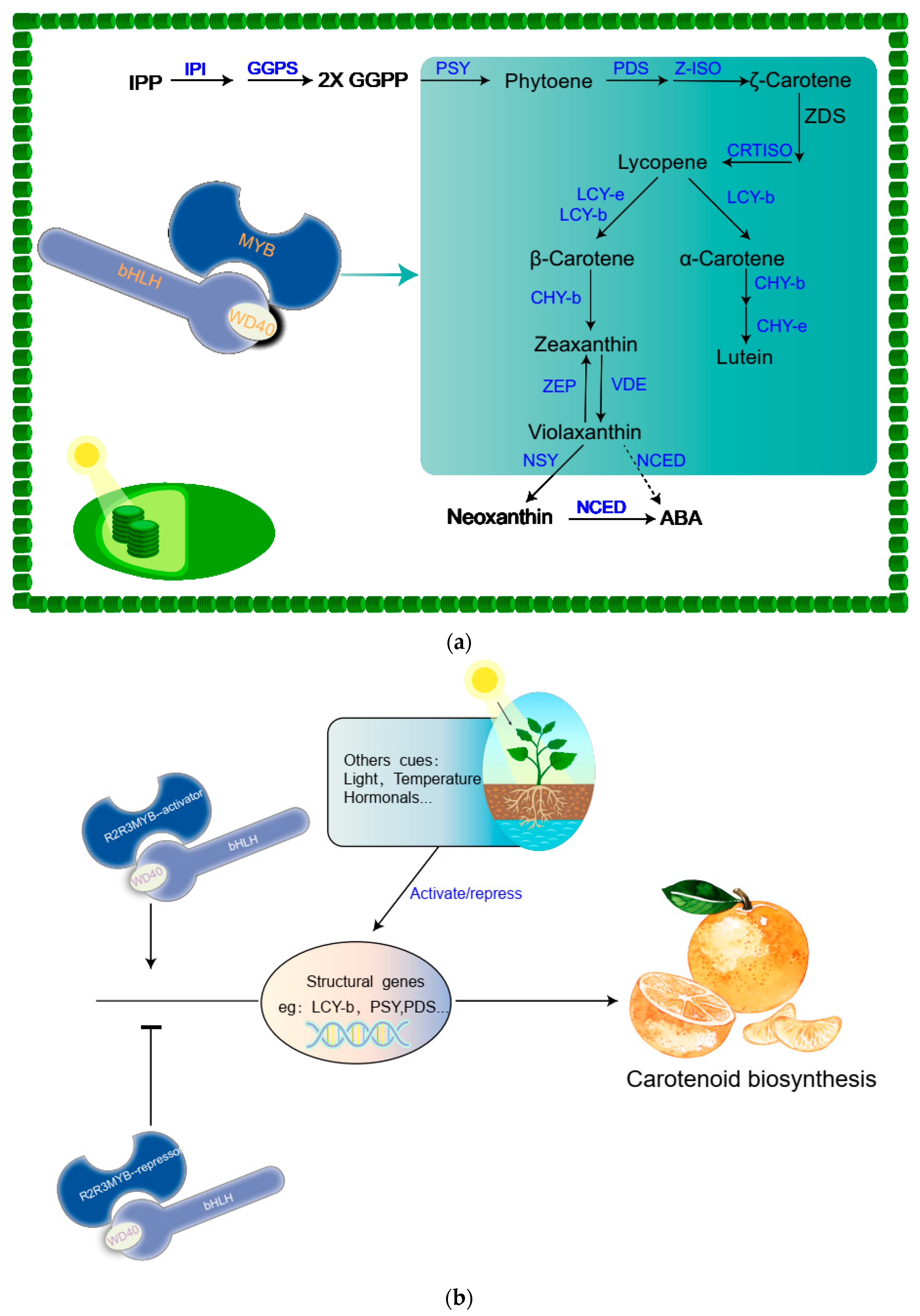 Metabolites 12 00871 g003