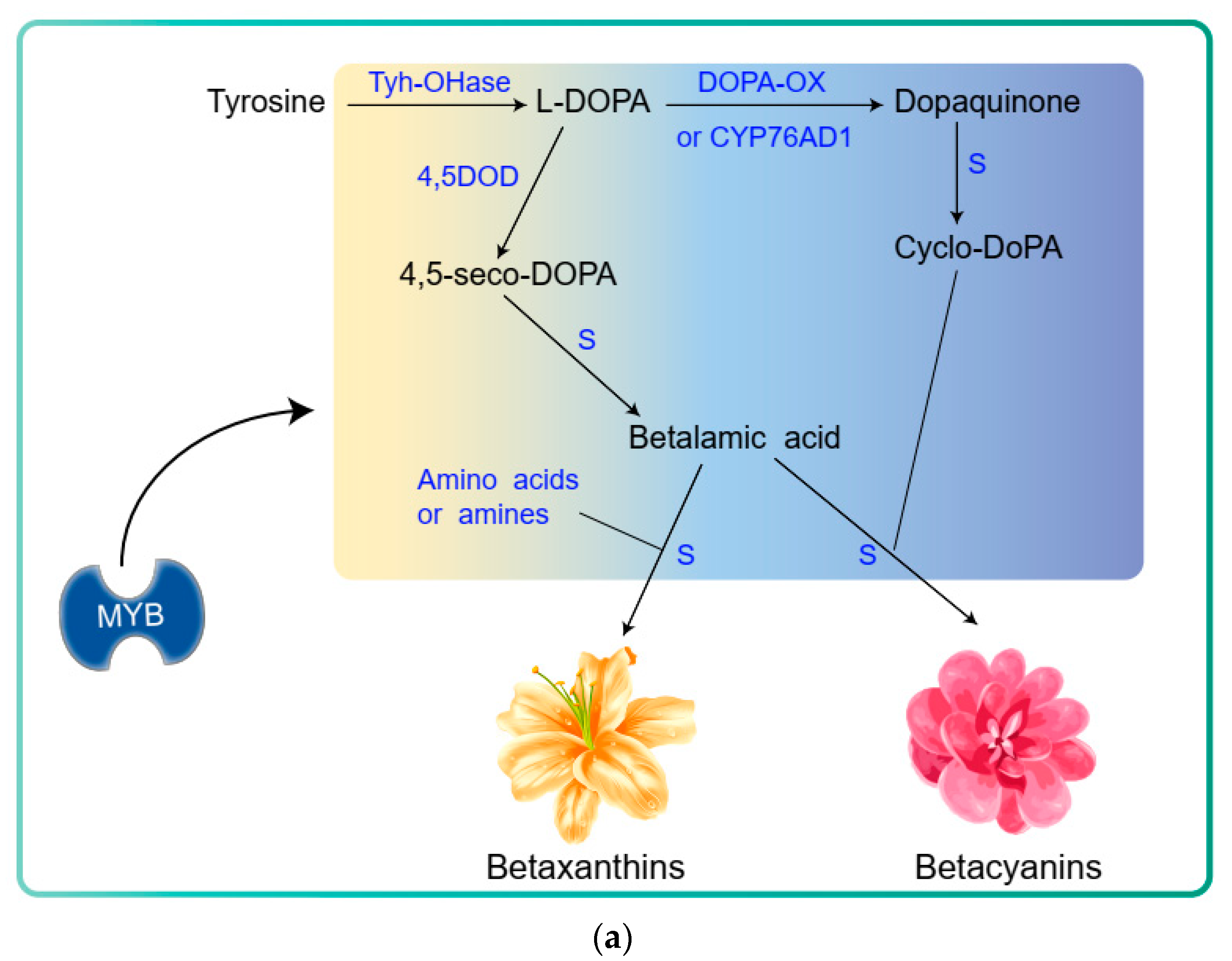 Metabolites 12 00871 g004a