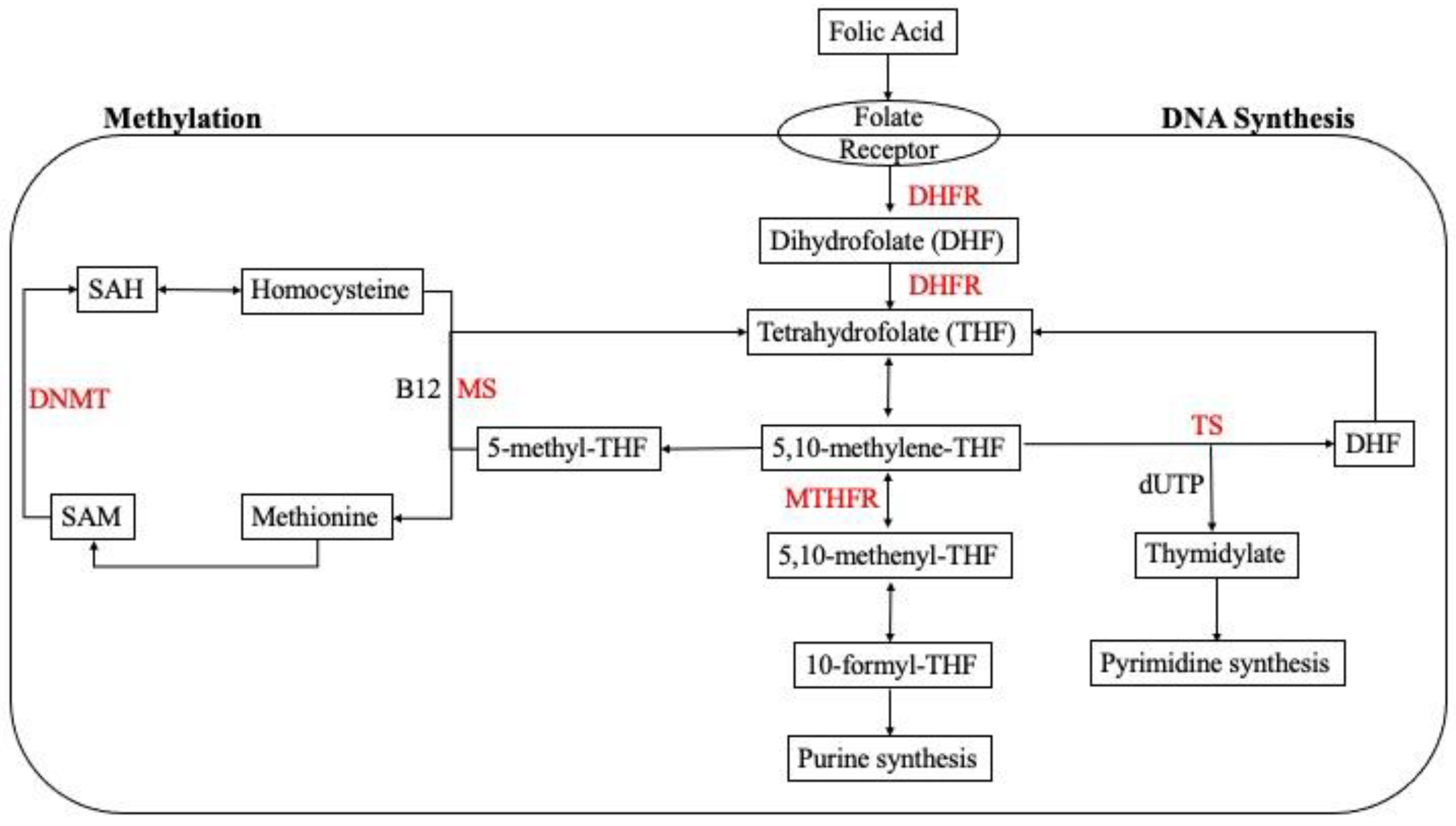 Metabolites 12 00876 g001