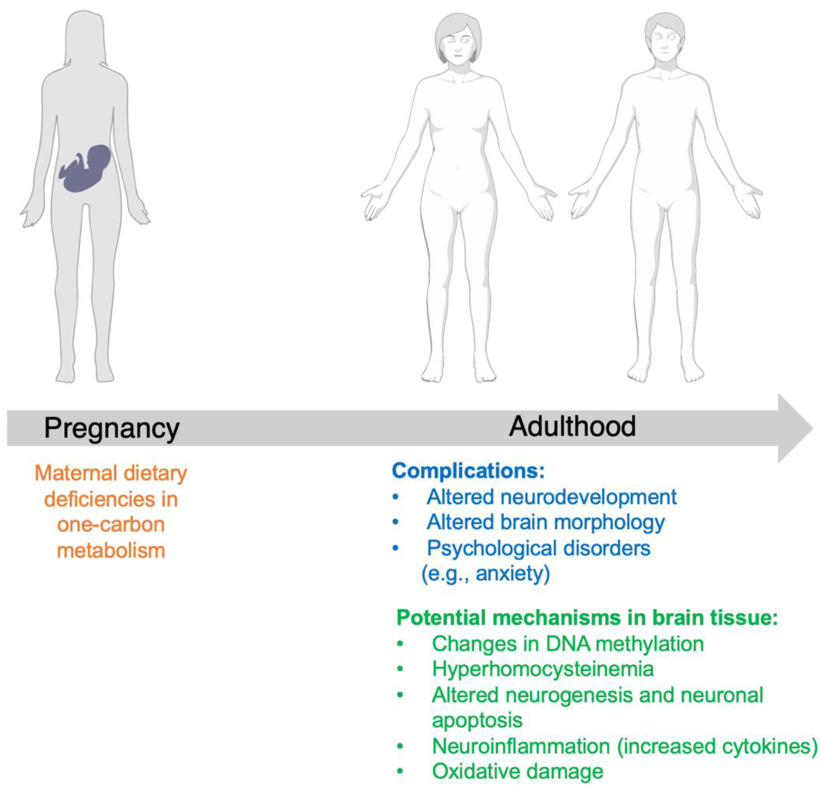 Metabolites 12 00876 g002