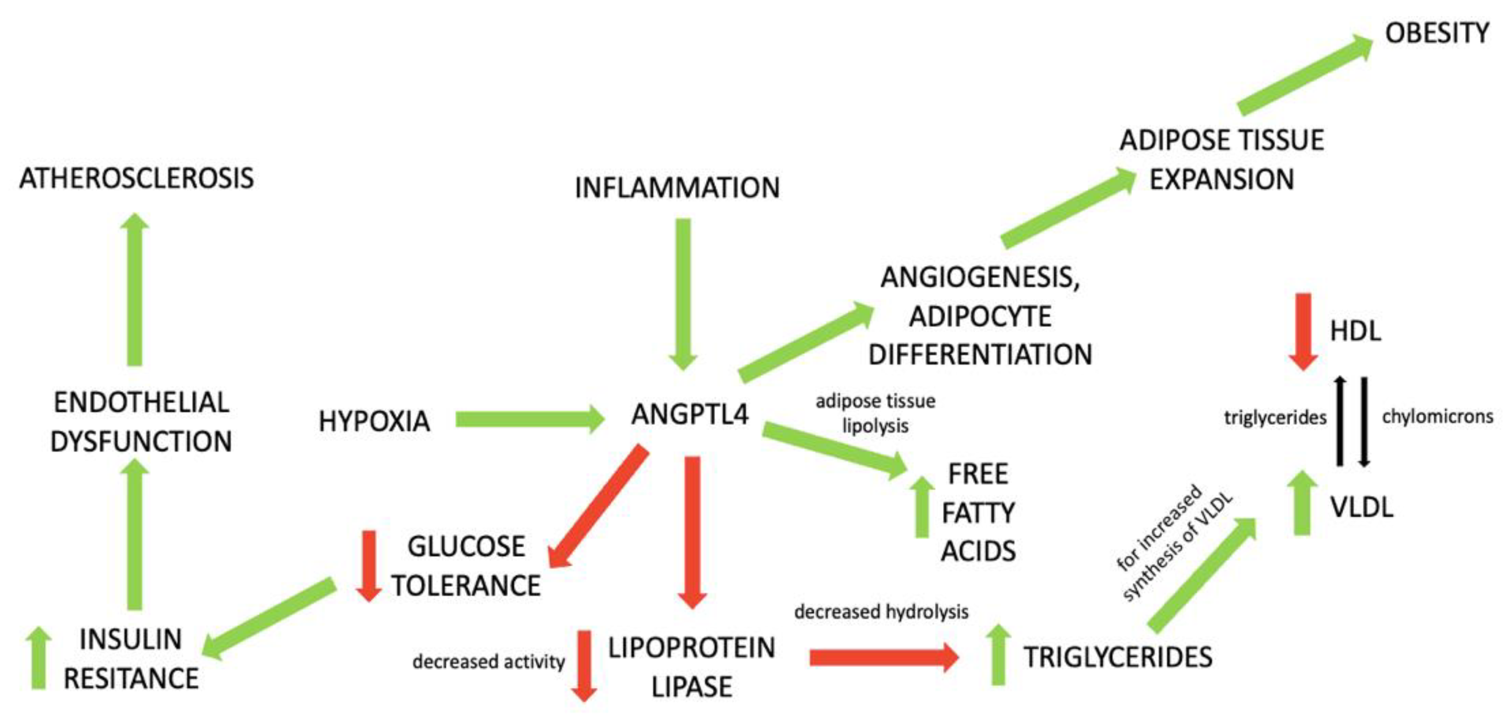 Metabolites 12 00877 g001 550